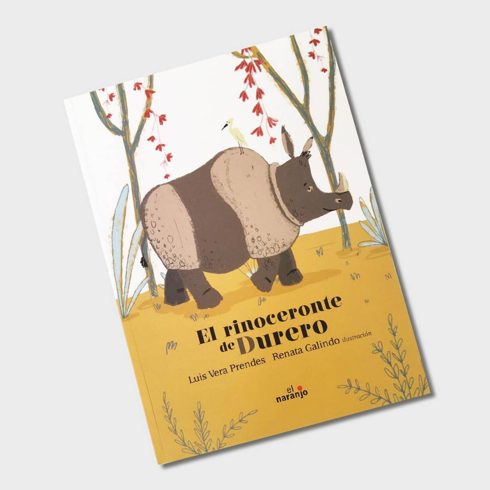 Libro para niños El rinoceronte de Durero Cuentos infantiles 