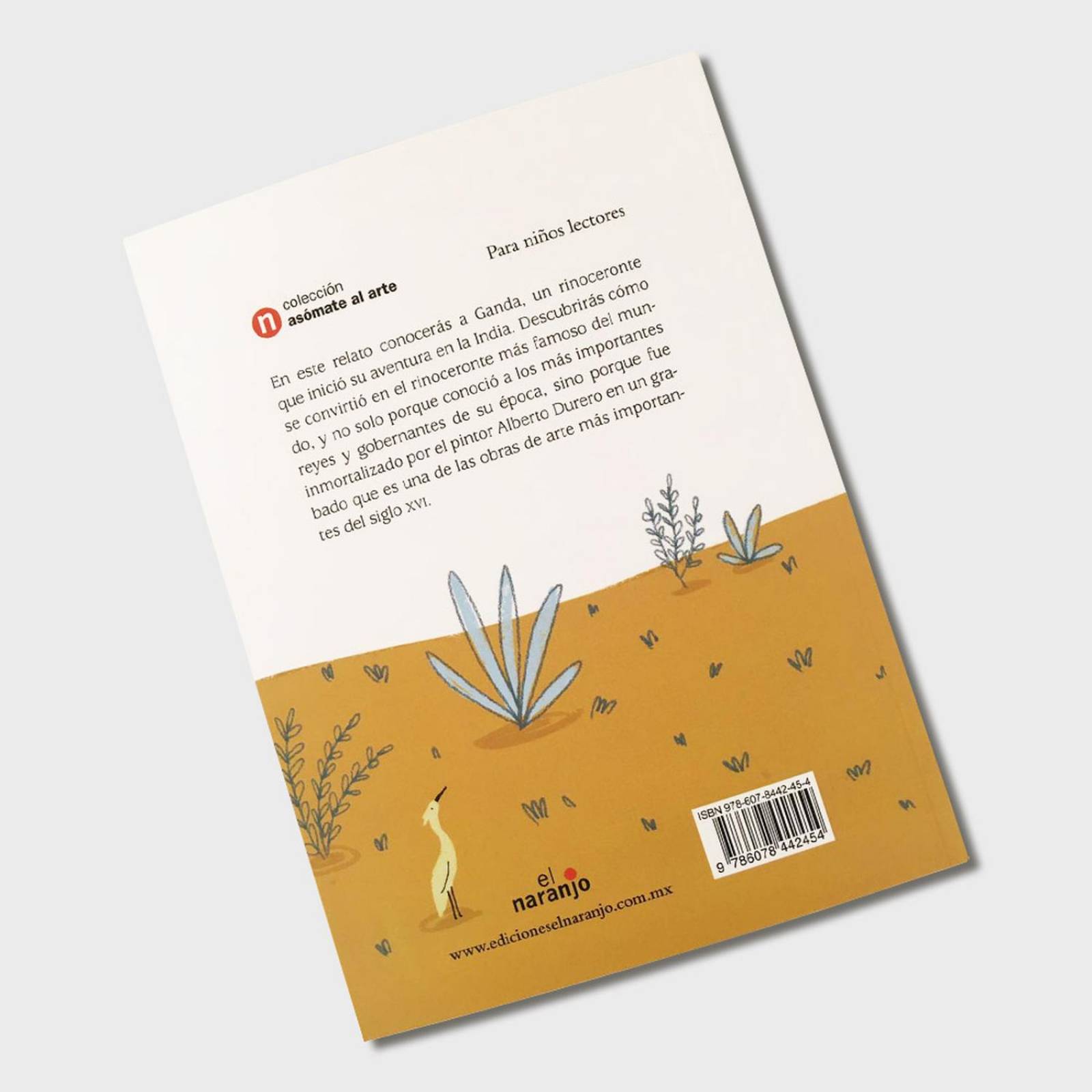 Libro para niños El rinoceronte de Durero Cuentos infantiles 