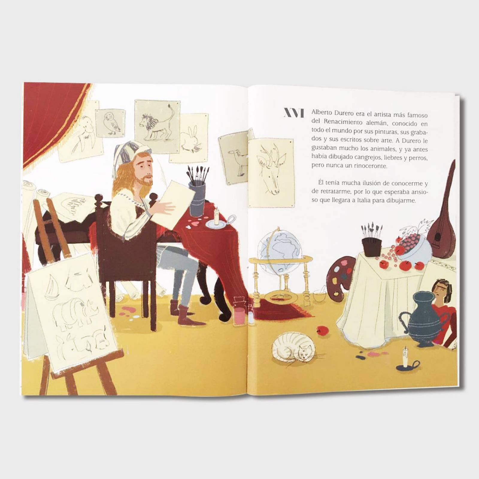 Libro para niños El rinoceronte de Durero Cuentos infantiles 