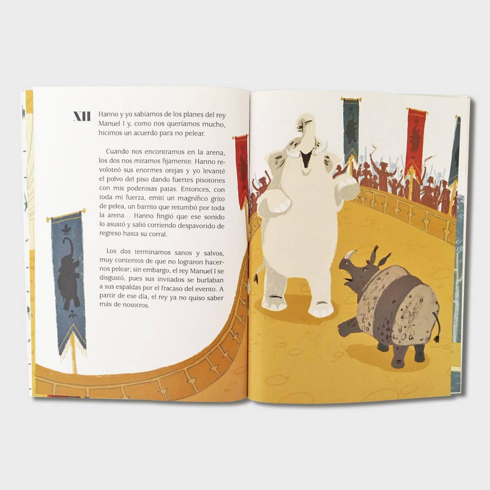 Libro para niños El rinoceronte de Durero Cuentos infantiles 