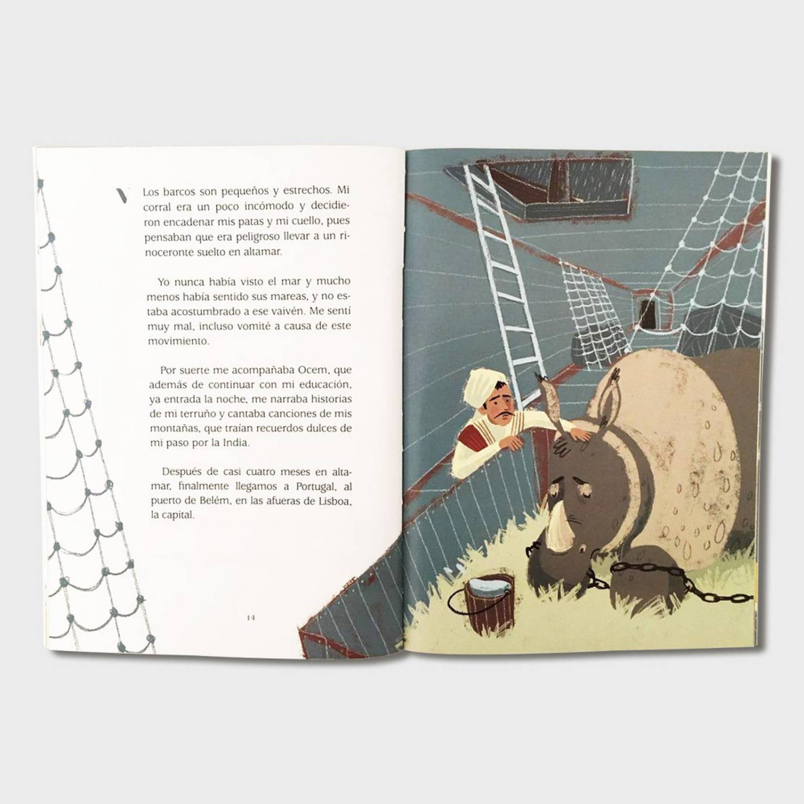 Libro para niños El rinoceronte de Durero Cuentos infantiles 