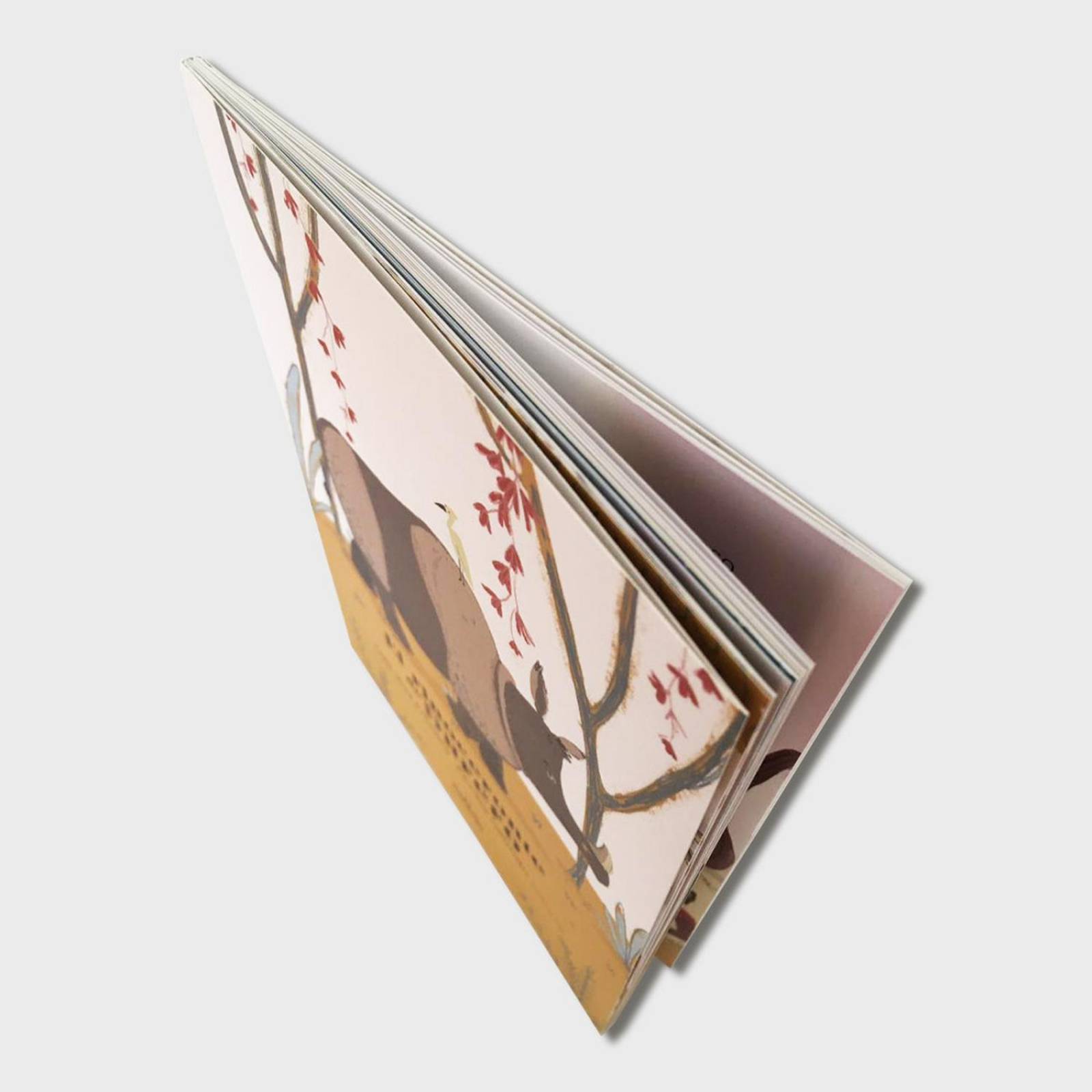 Libro para niños El rinoceronte de Durero Cuentos infantiles 