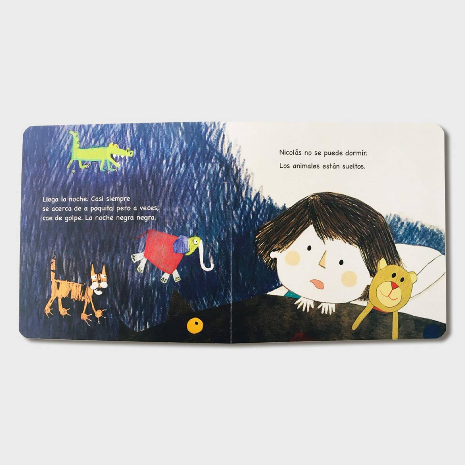 Libro Nicolás dos veces Libros para niños Cuentos infantiles 