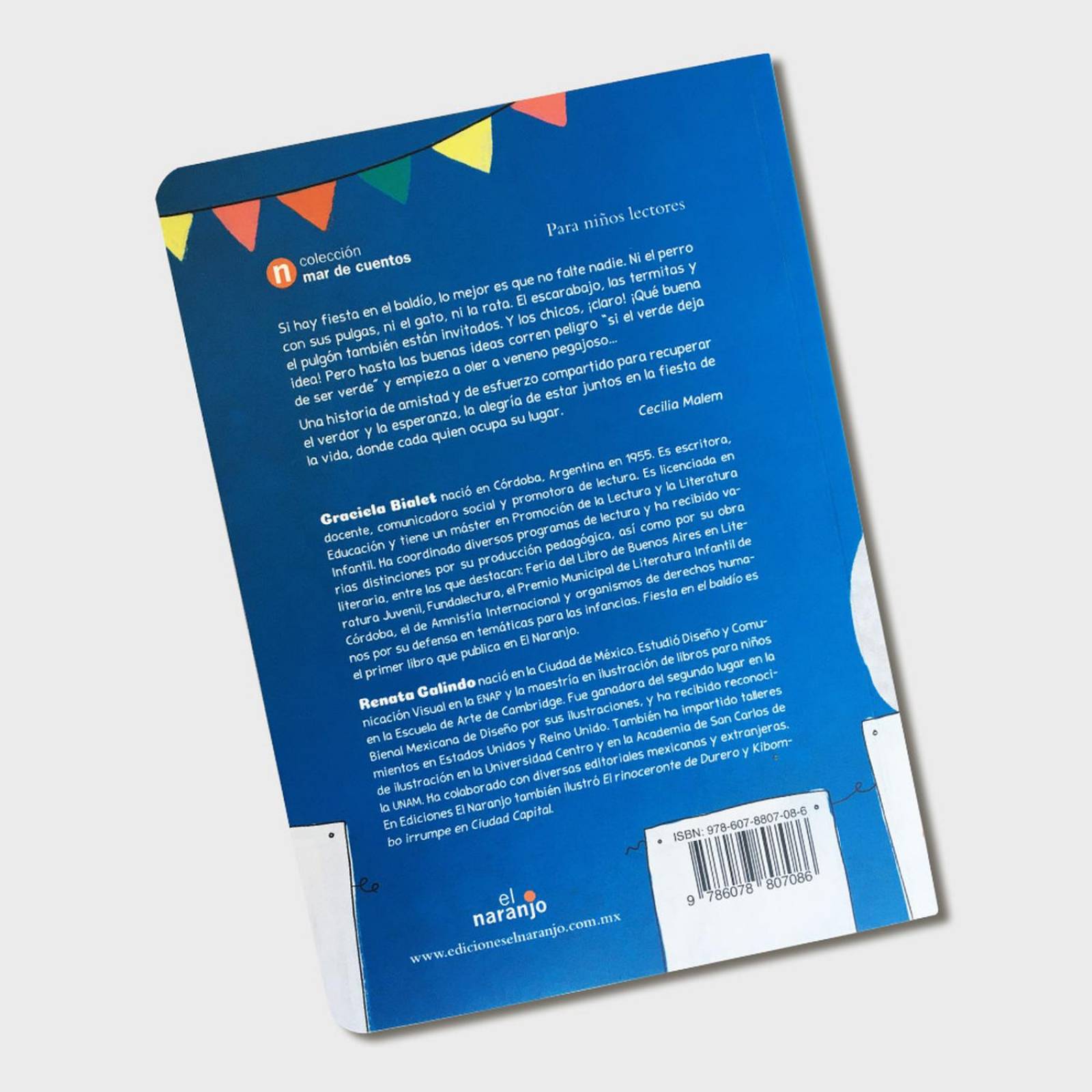 Libro Fiesta en el baldío Libros de niños Cuentos infantiles 