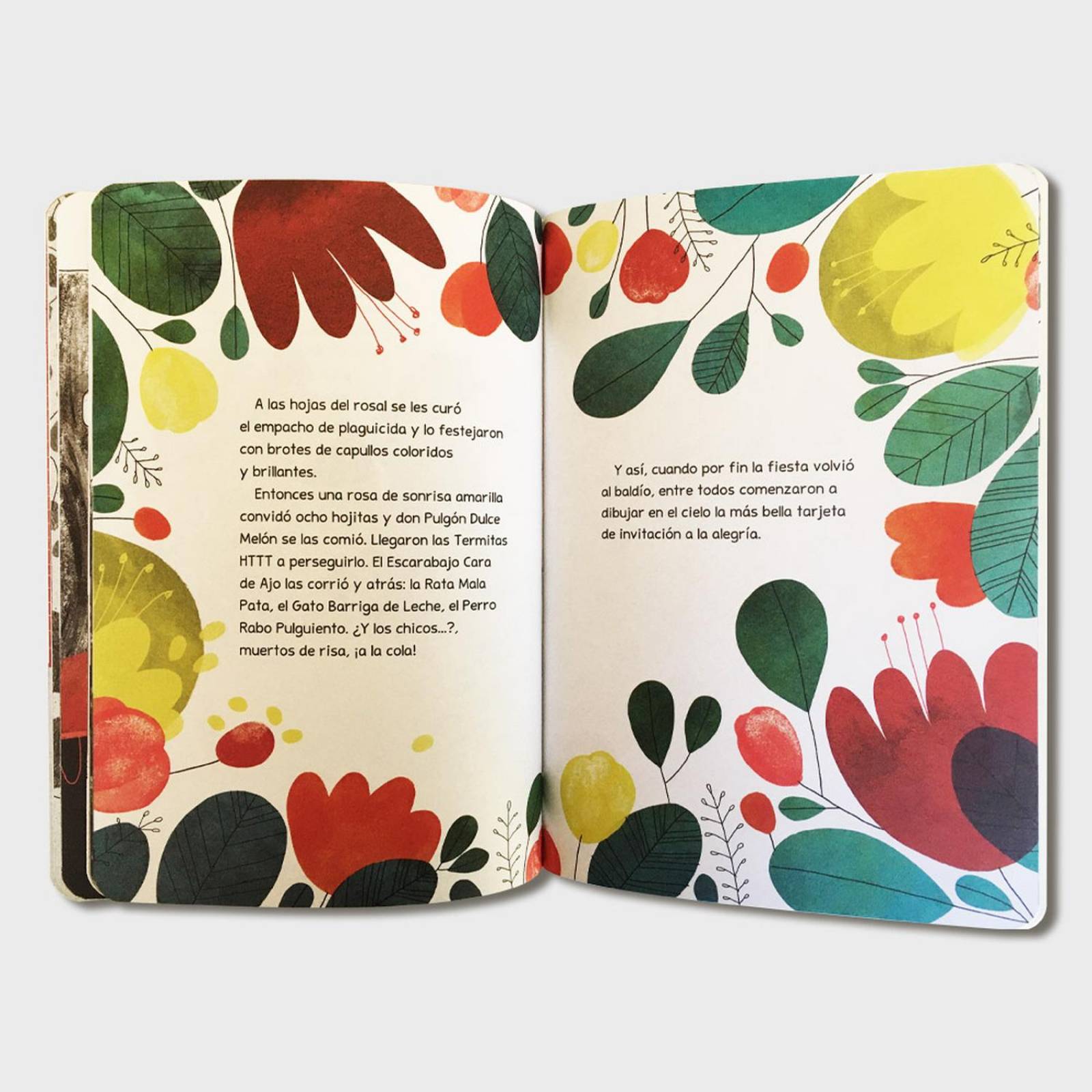 Libro Fiesta en el baldío Libros de niños Cuentos infantiles 
