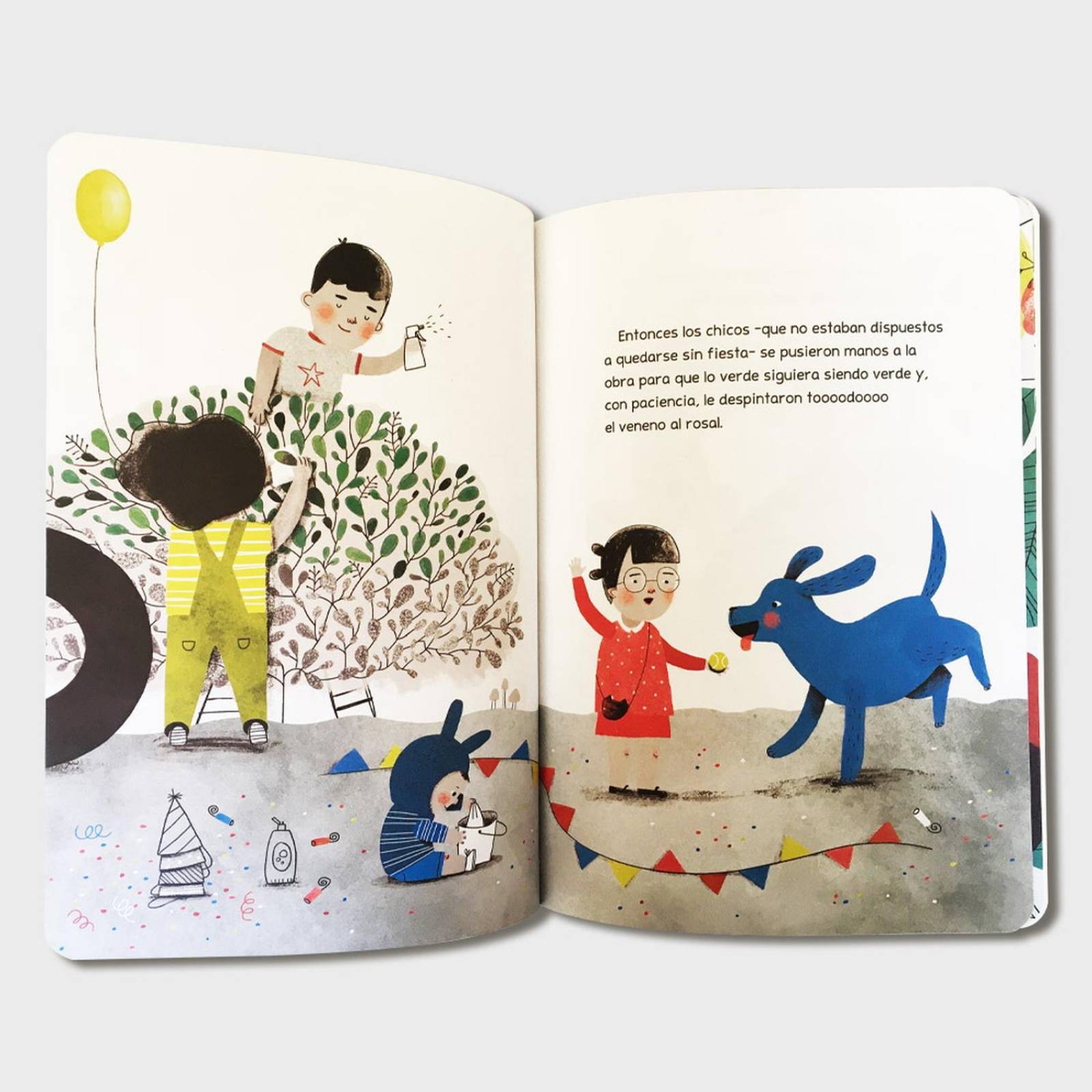 Libro Fiesta en el baldío Libros de niños Cuentos infantiles 