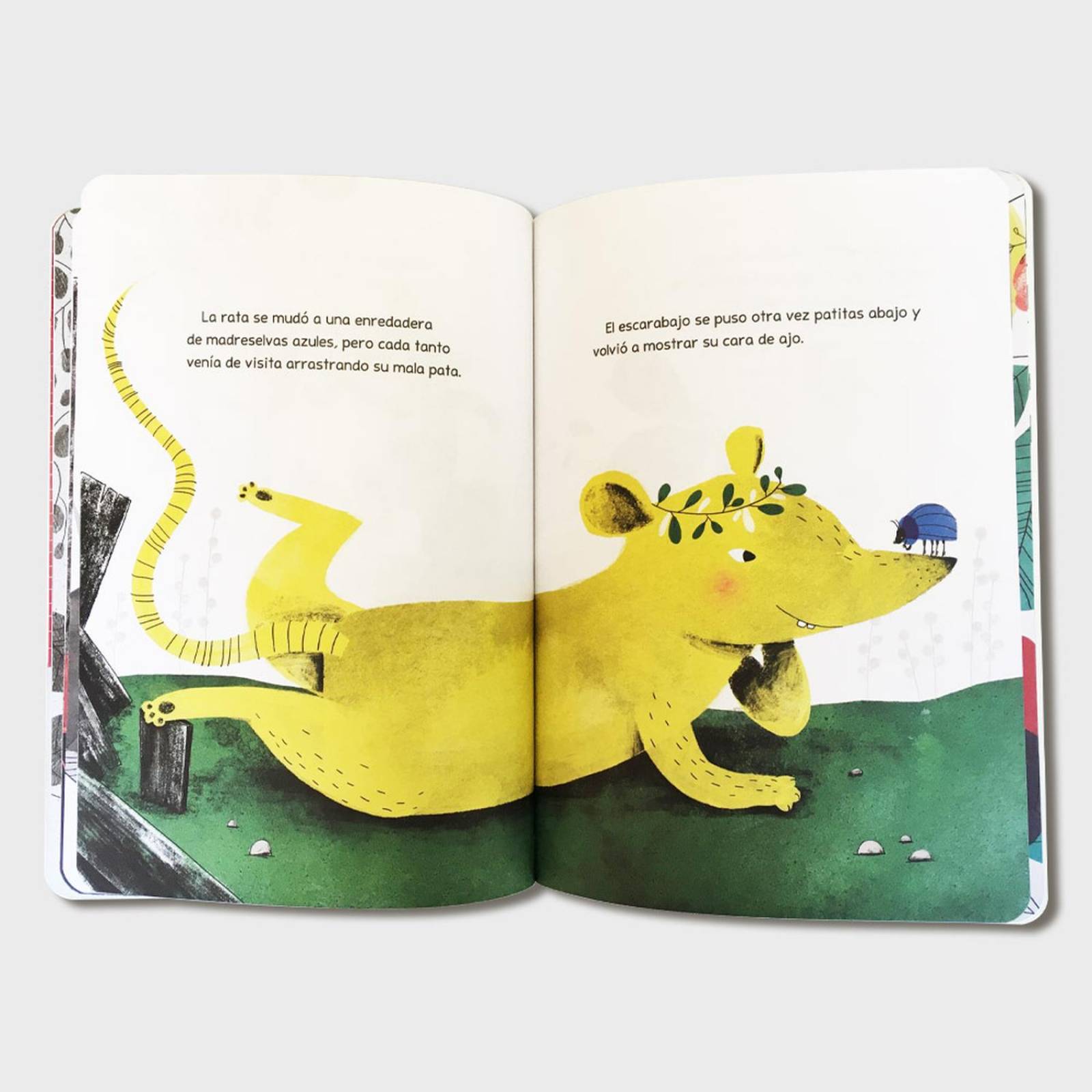 Libro Fiesta en el baldío Libros de niños Cuentos infantiles 