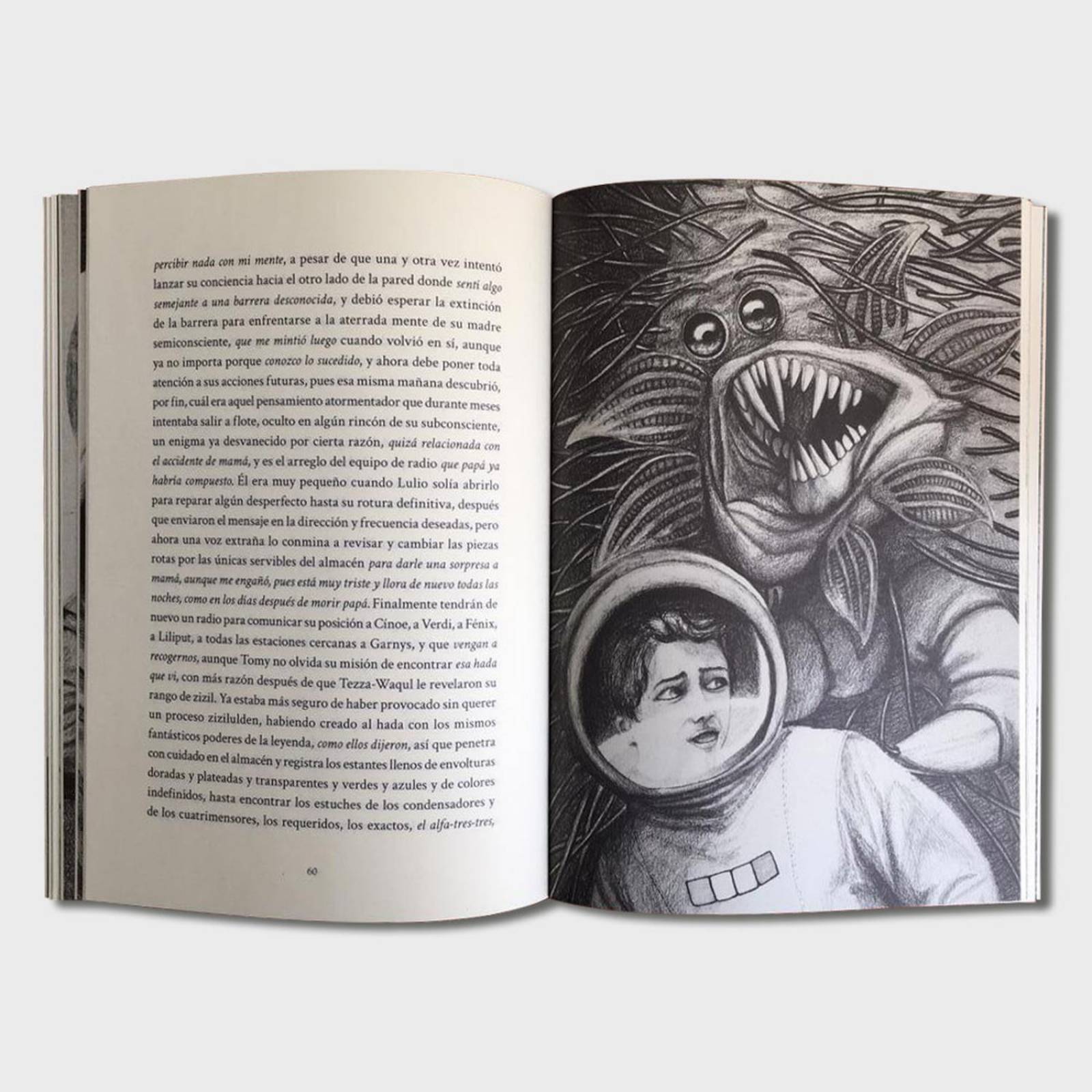 Libro Un hada en el umbral de la tierra Libros juveniles 