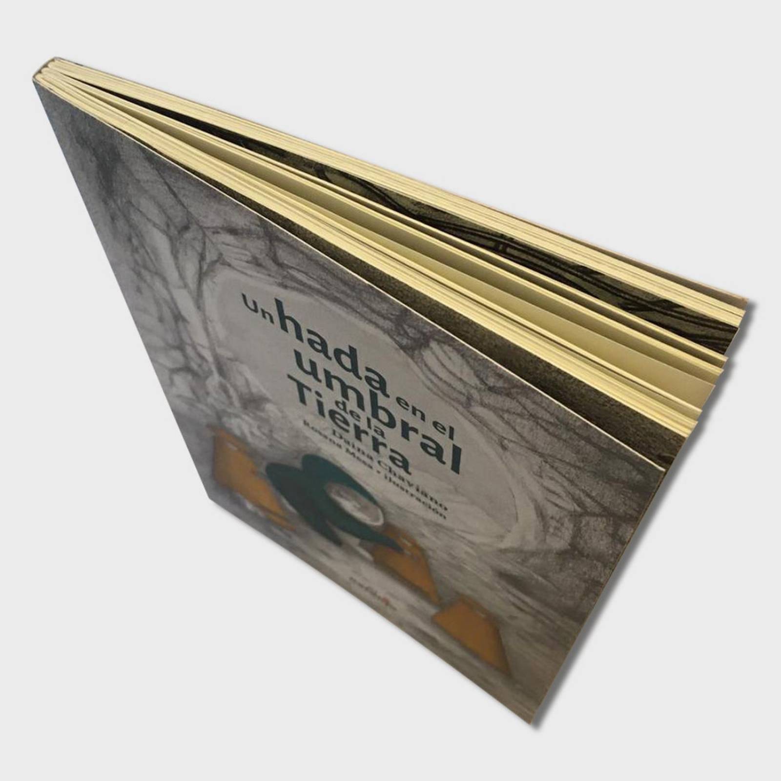 Libro Un hada en el umbral de la tierra Libros juveniles 