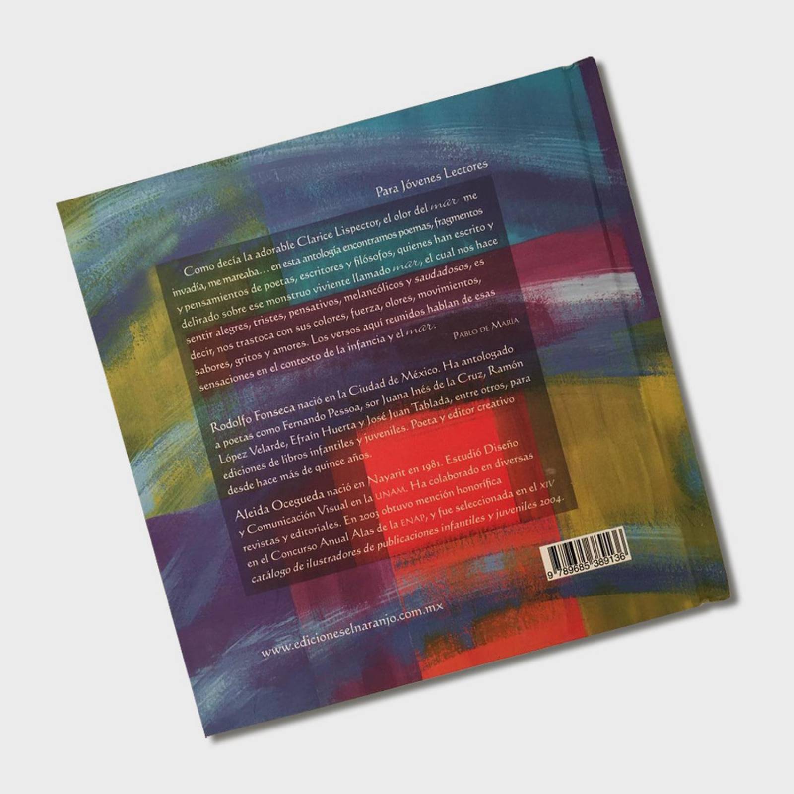 Libro Suspiros de mar Libros juveniles Cuentos para Niños 