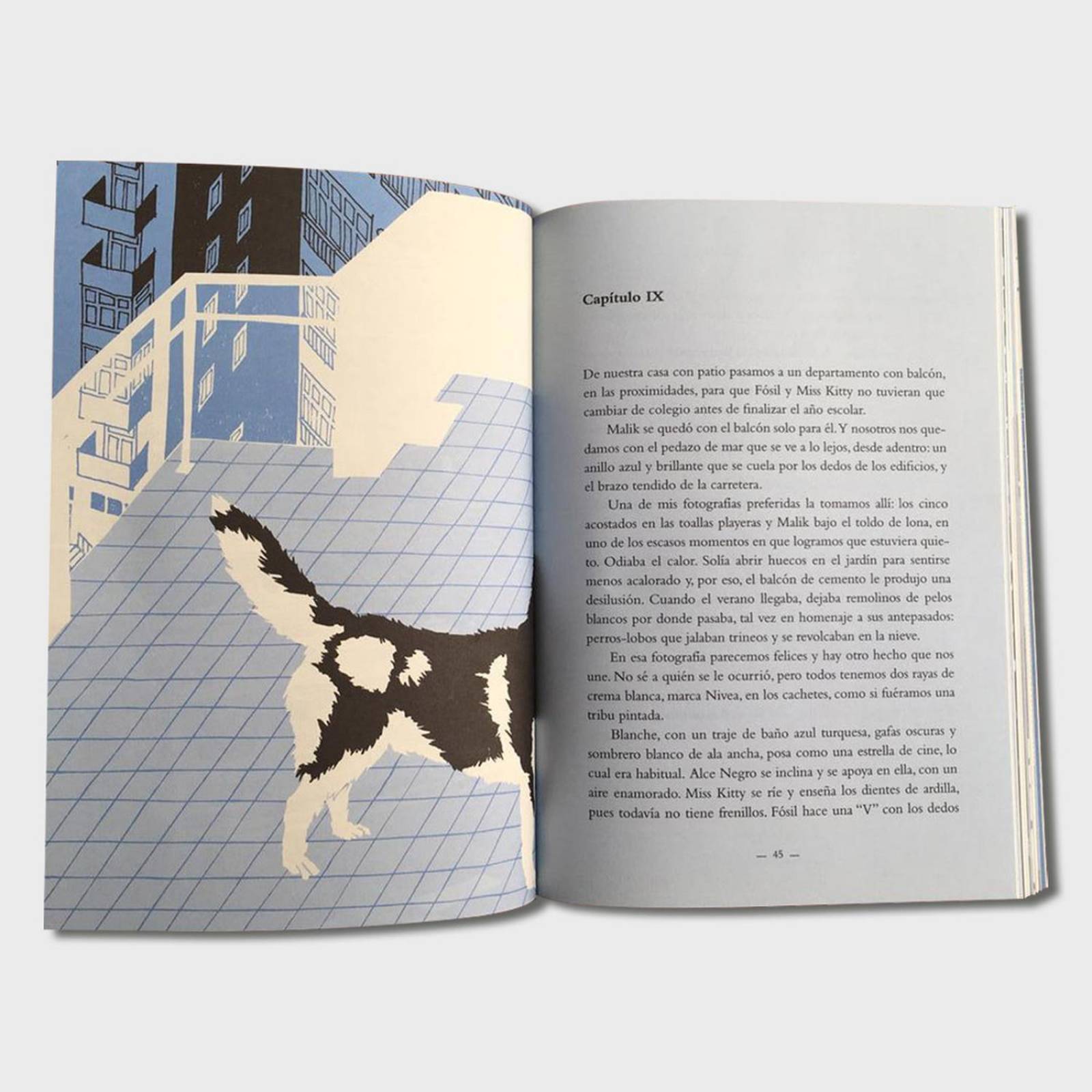 Libro Hermano Lobo Libros juveniles cuentos infantiles niños 