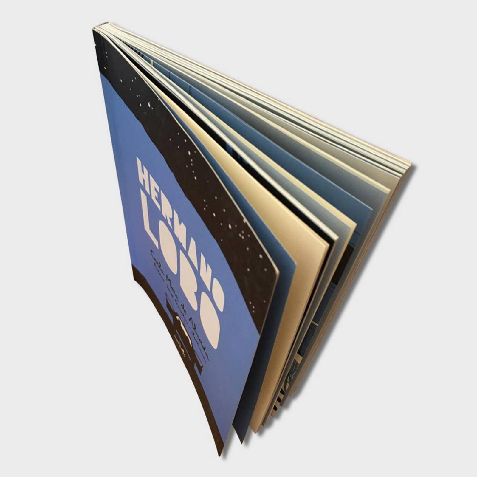 Libro Hermano Lobo Libros juveniles cuentos infantiles niños 