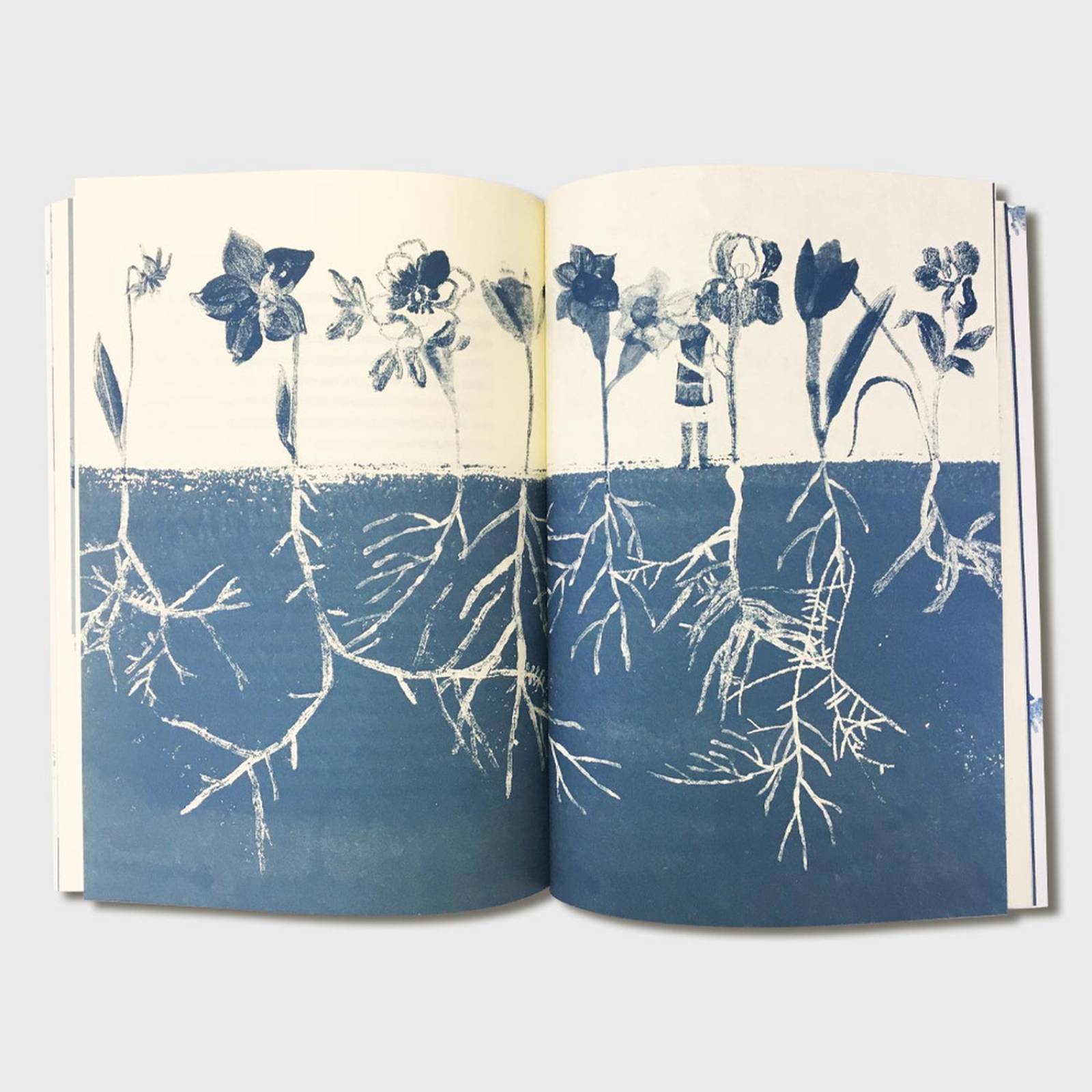 Libro Álbum familiar Libros para niños Cuentos infantiles 