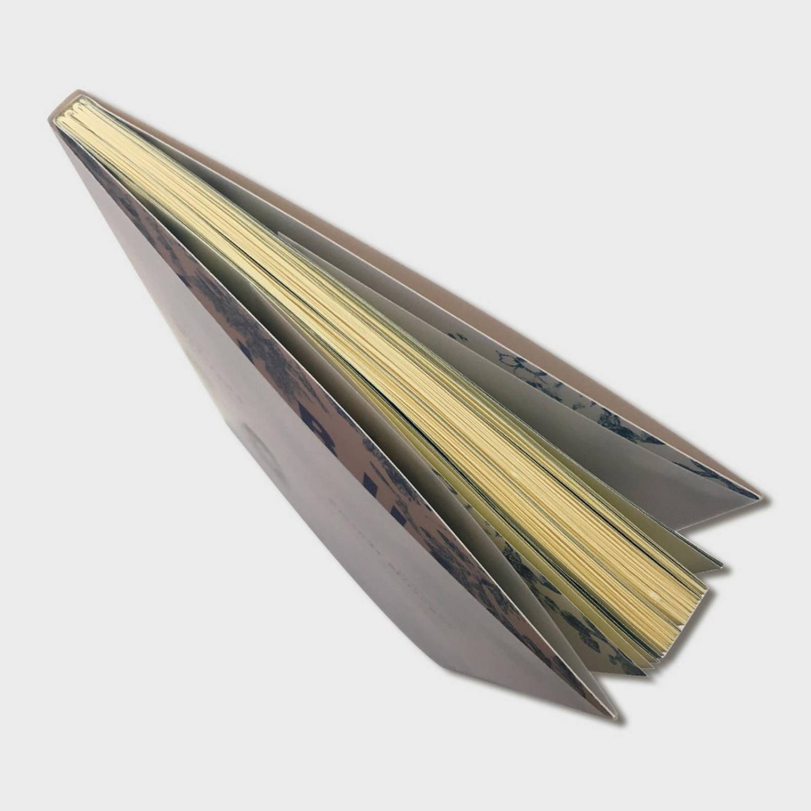 Libro Álbum familiar Libros para niños Cuentos infantiles 