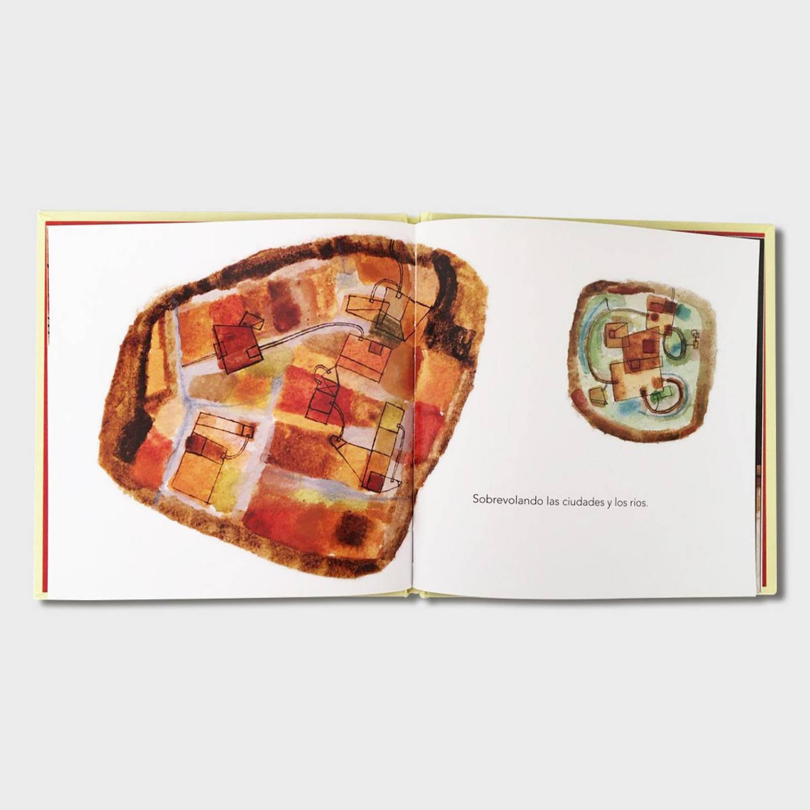 Libro El mundo desde mi cometa Libros para niños Cuentos 