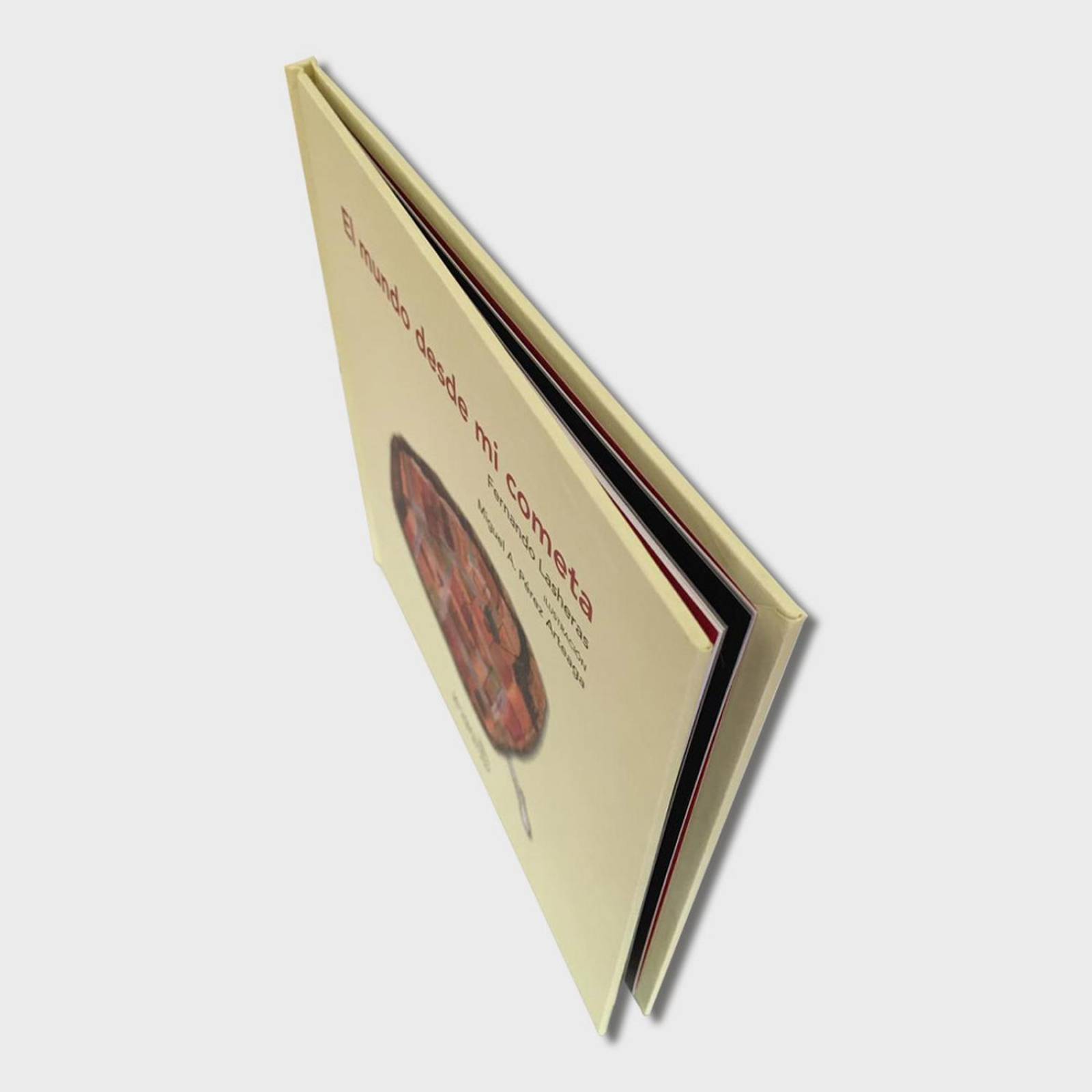 Libro El mundo desde mi cometa Libros para niños Cuentos 
