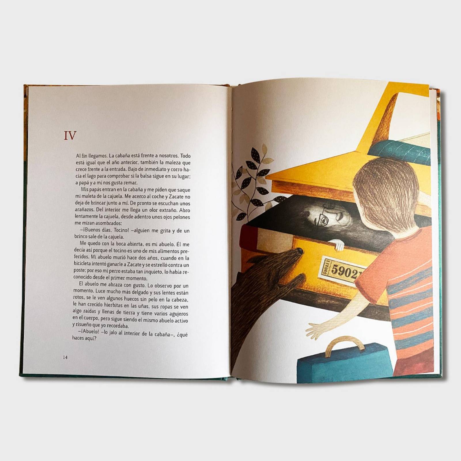 Libro Los muertos andan en bici Cuentos infantiles p niños 