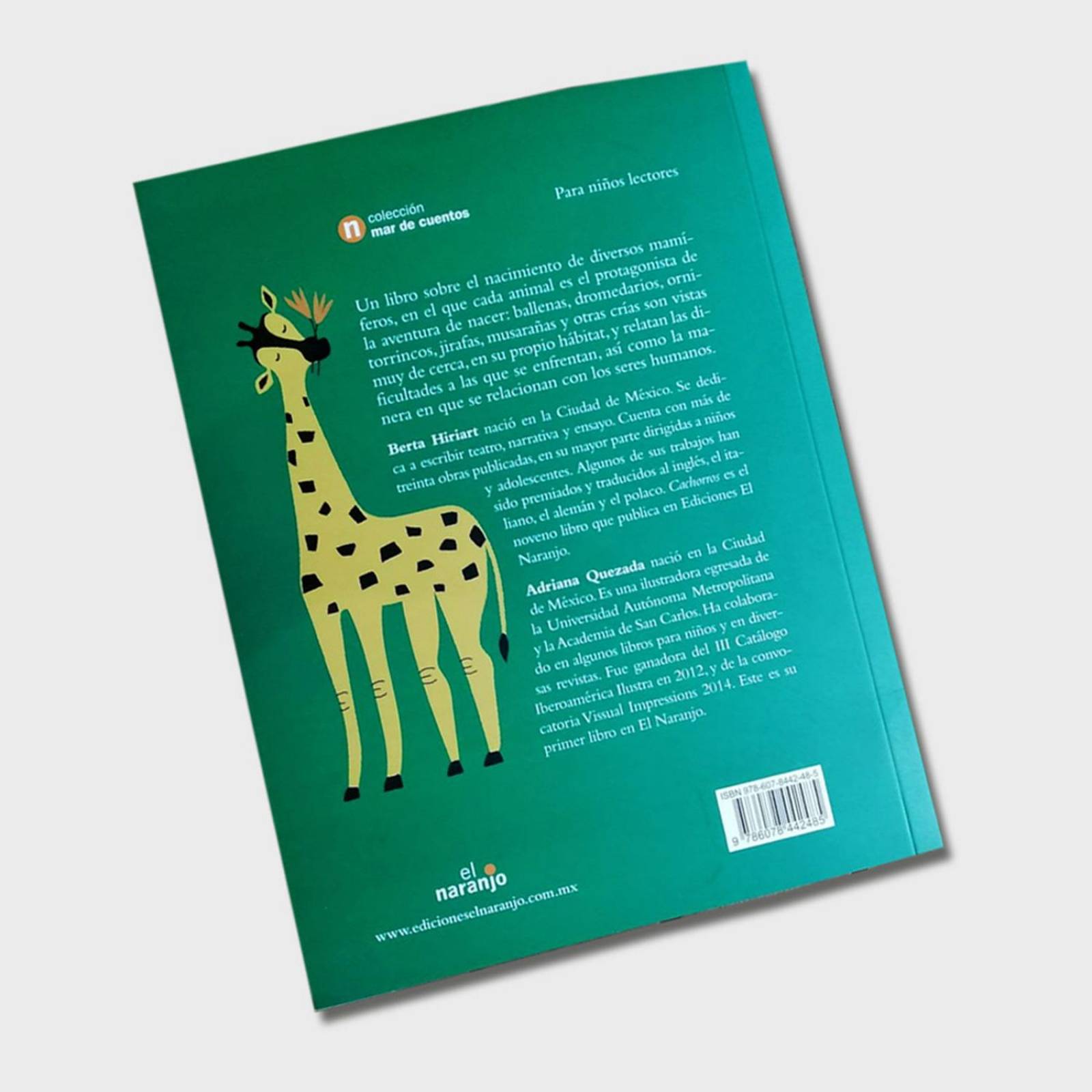 Libro Cachorros Libros para niños Cuentos infantiles