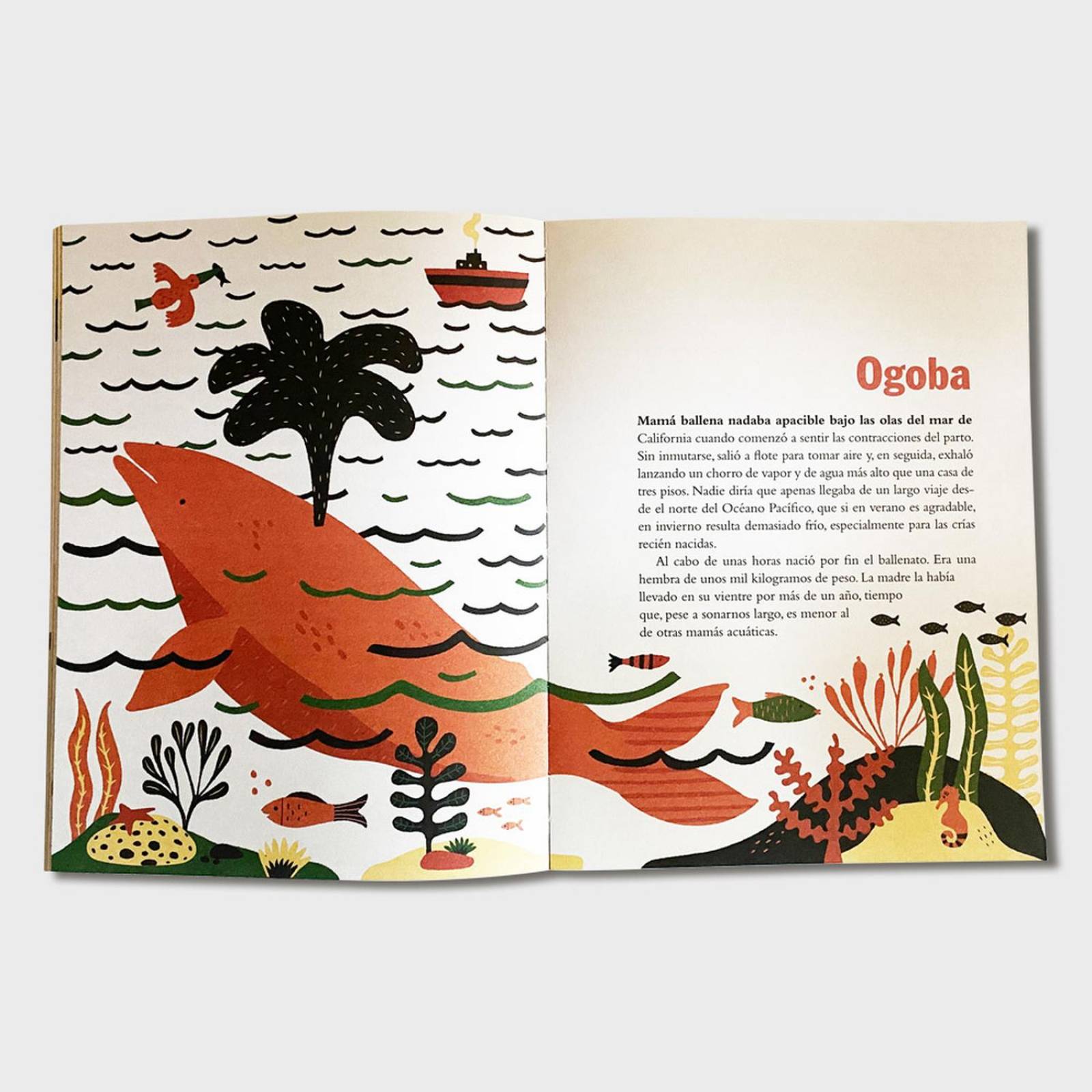 Libro Cachorros Libros para niños Cuentos infantiles