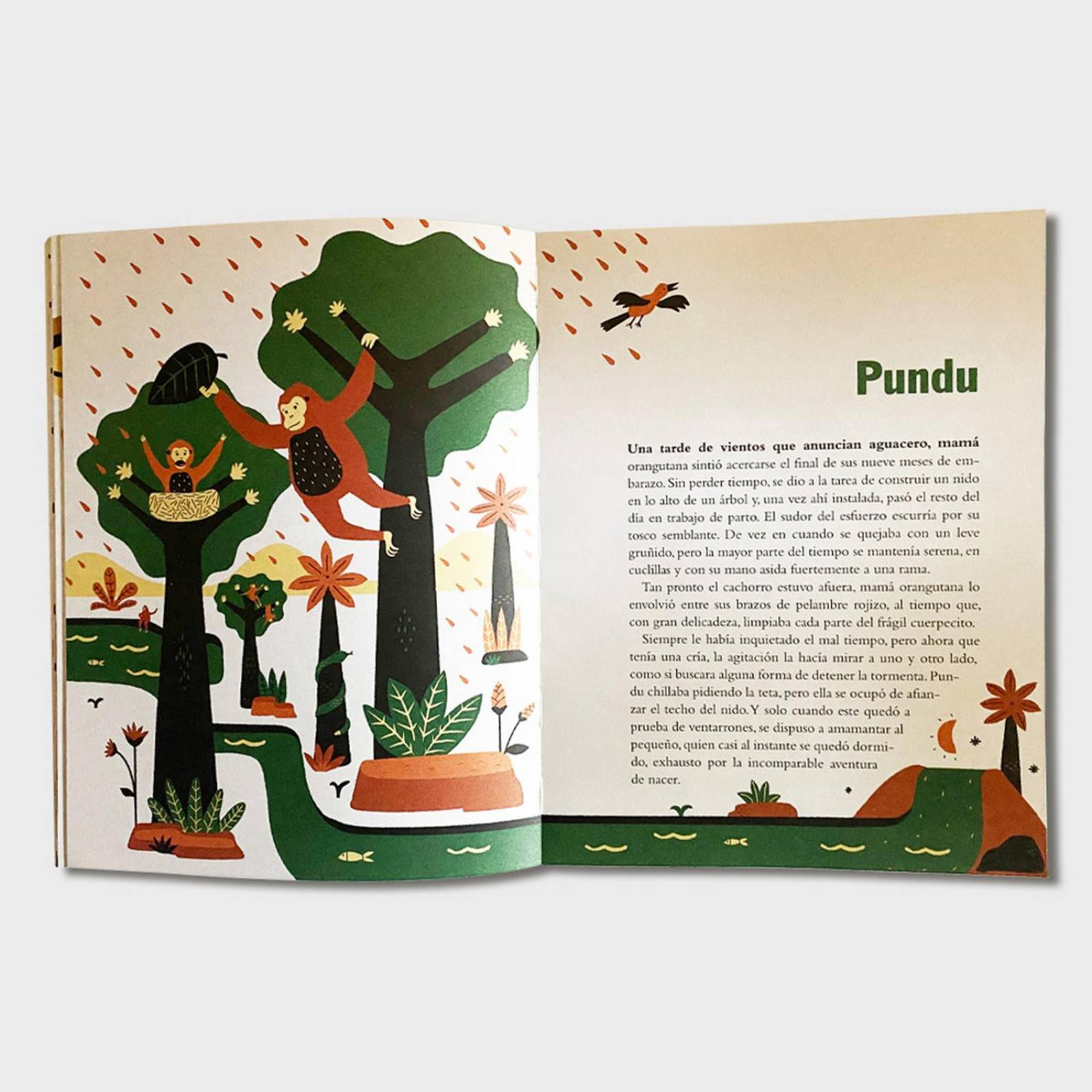 Libro Cachorros Libros para niños Cuentos infantiles