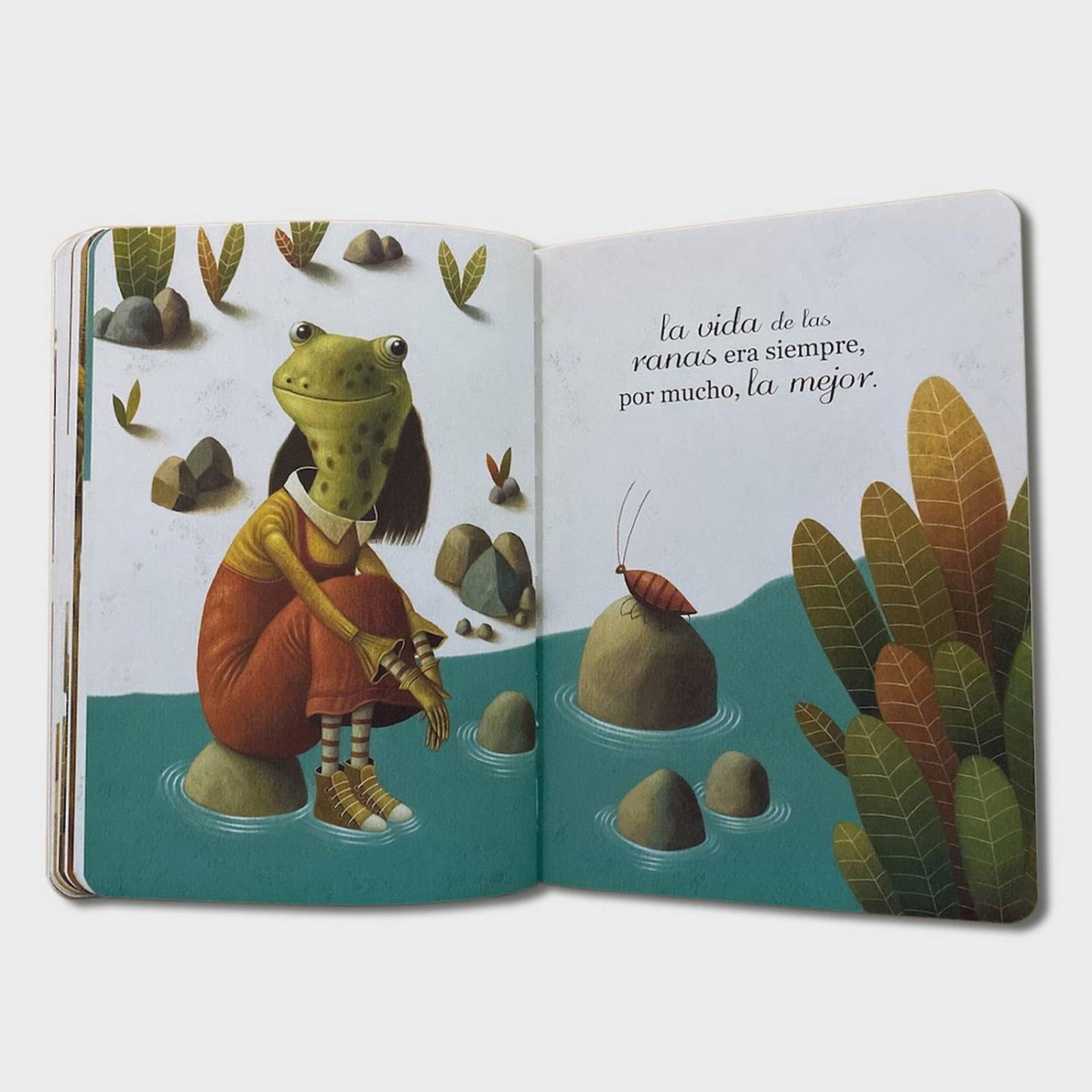 Libro De la vida de las ranas Cuentos infantiles Libro niños 