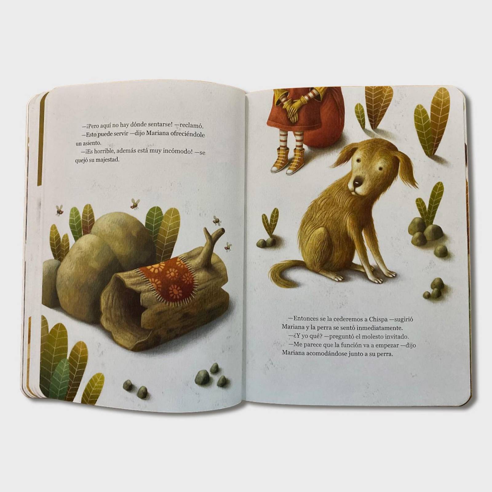 Libro De la vida de las ranas Cuentos infantiles Libro niños 