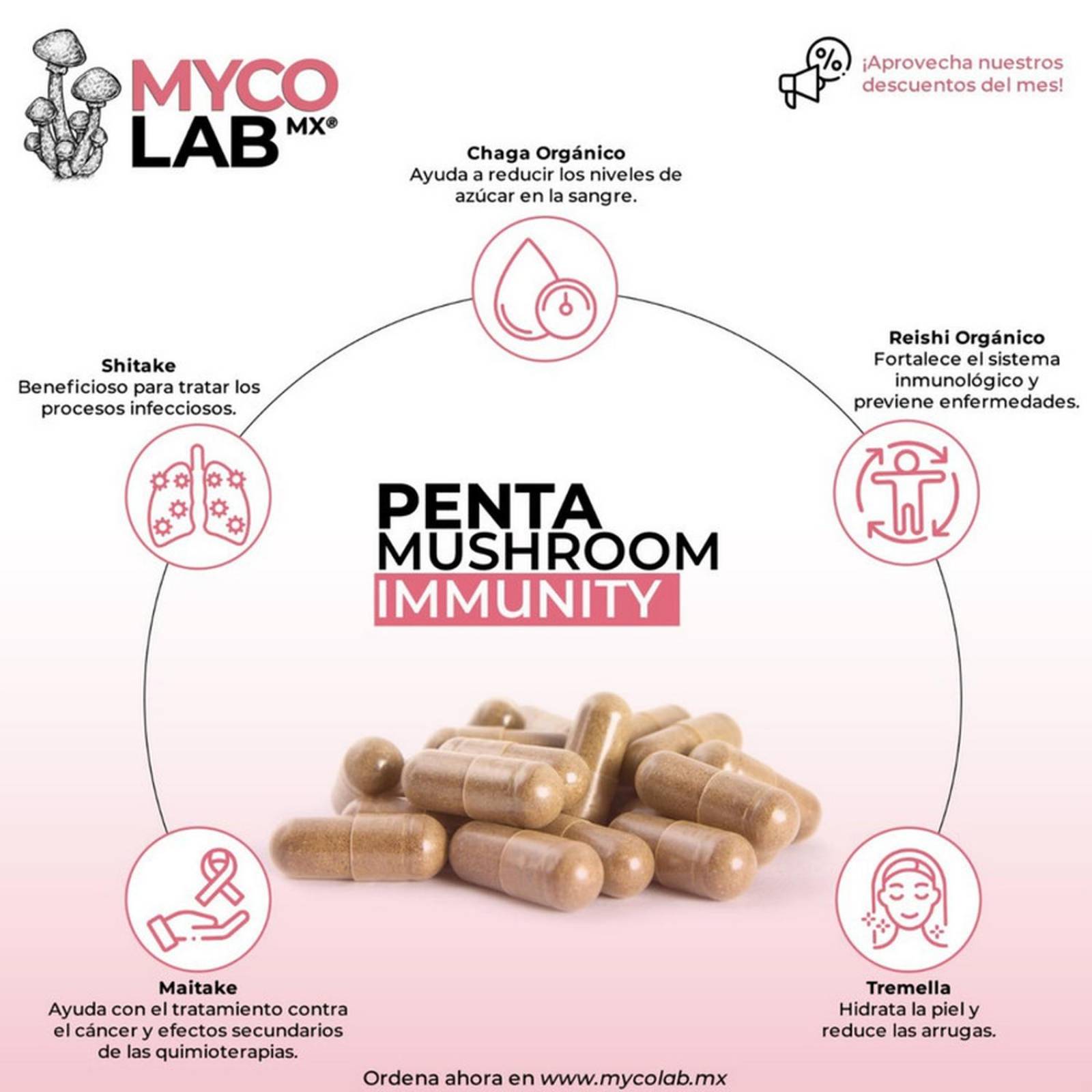 PENTA Hongo Natural Sistema inmune antioxidante y colesterol