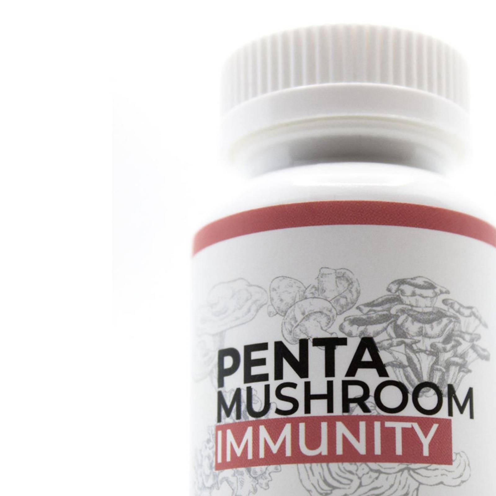PENTA Hongo Natural Sistema inmune antioxidante y colesterol