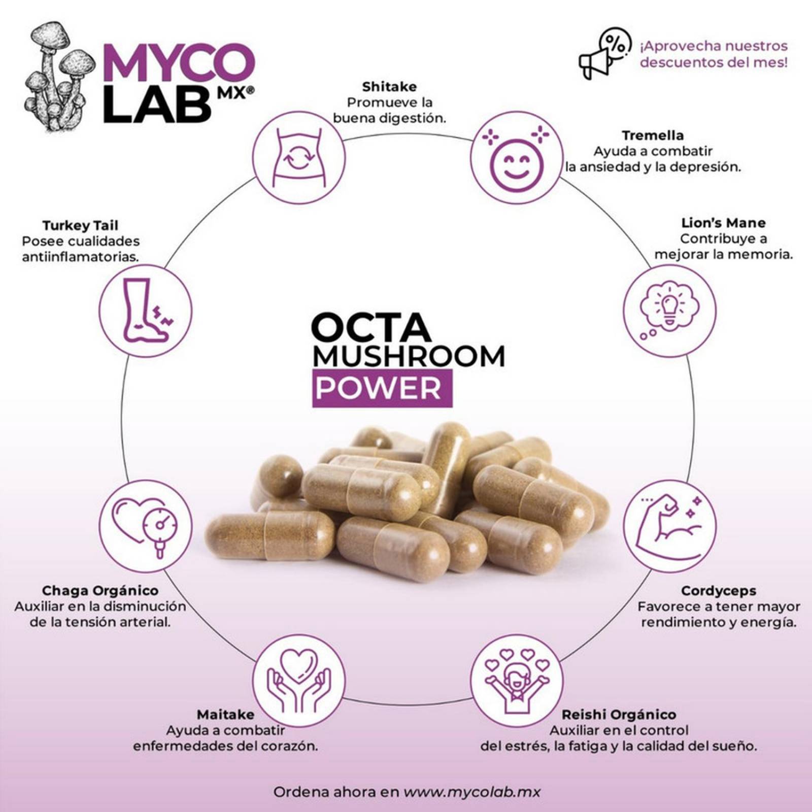 OCTA Hongo Potenciador energetico Adaptogeno mejora enfoque 