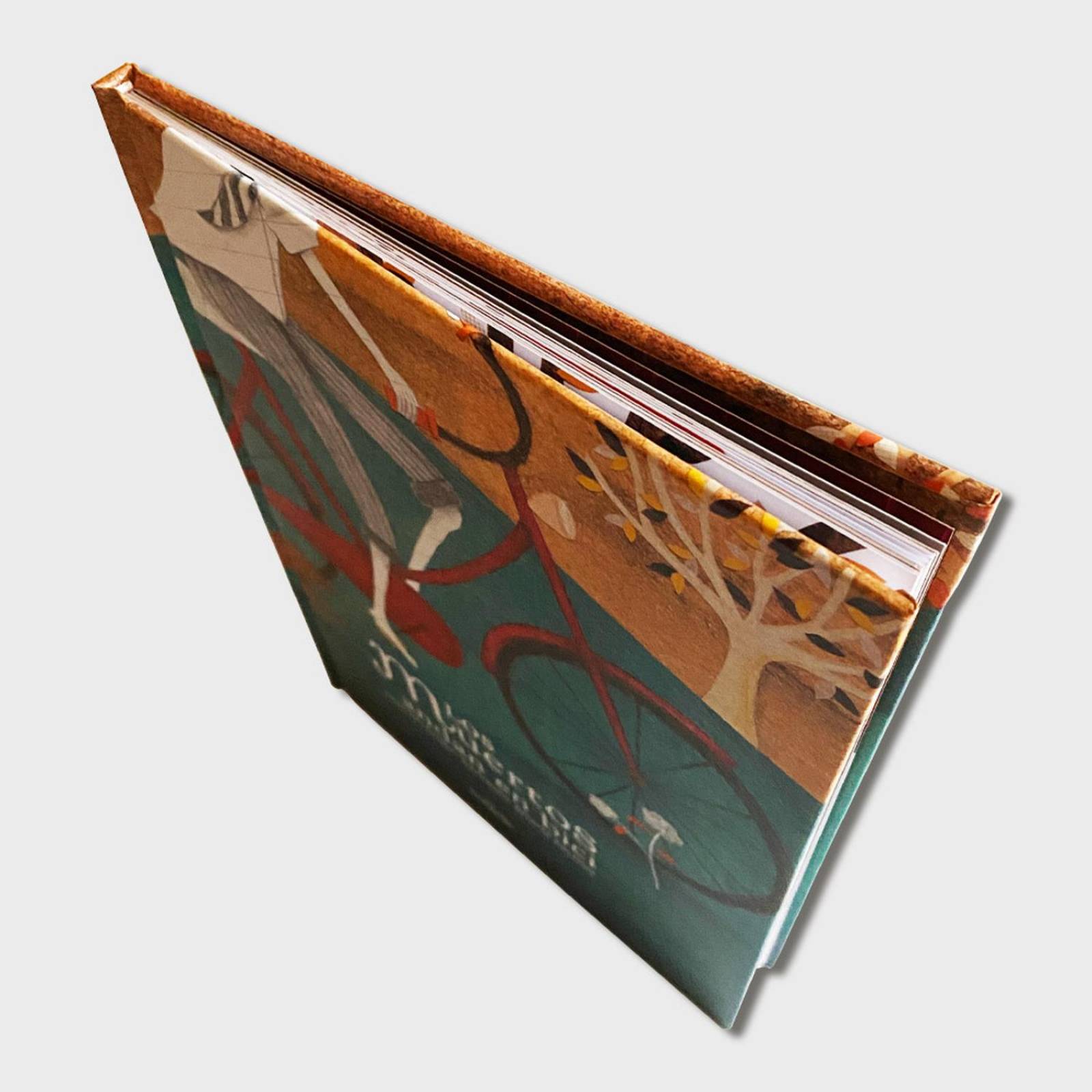 Paquete Cuentos Infantiles Clasicos con 3 Libros para niños 