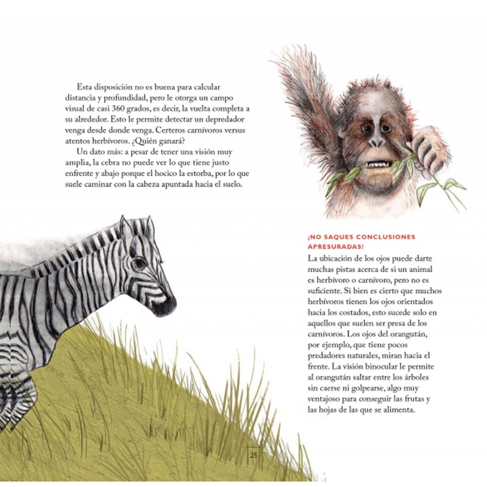 ¡Qué ojos tan curiosos tienes! 