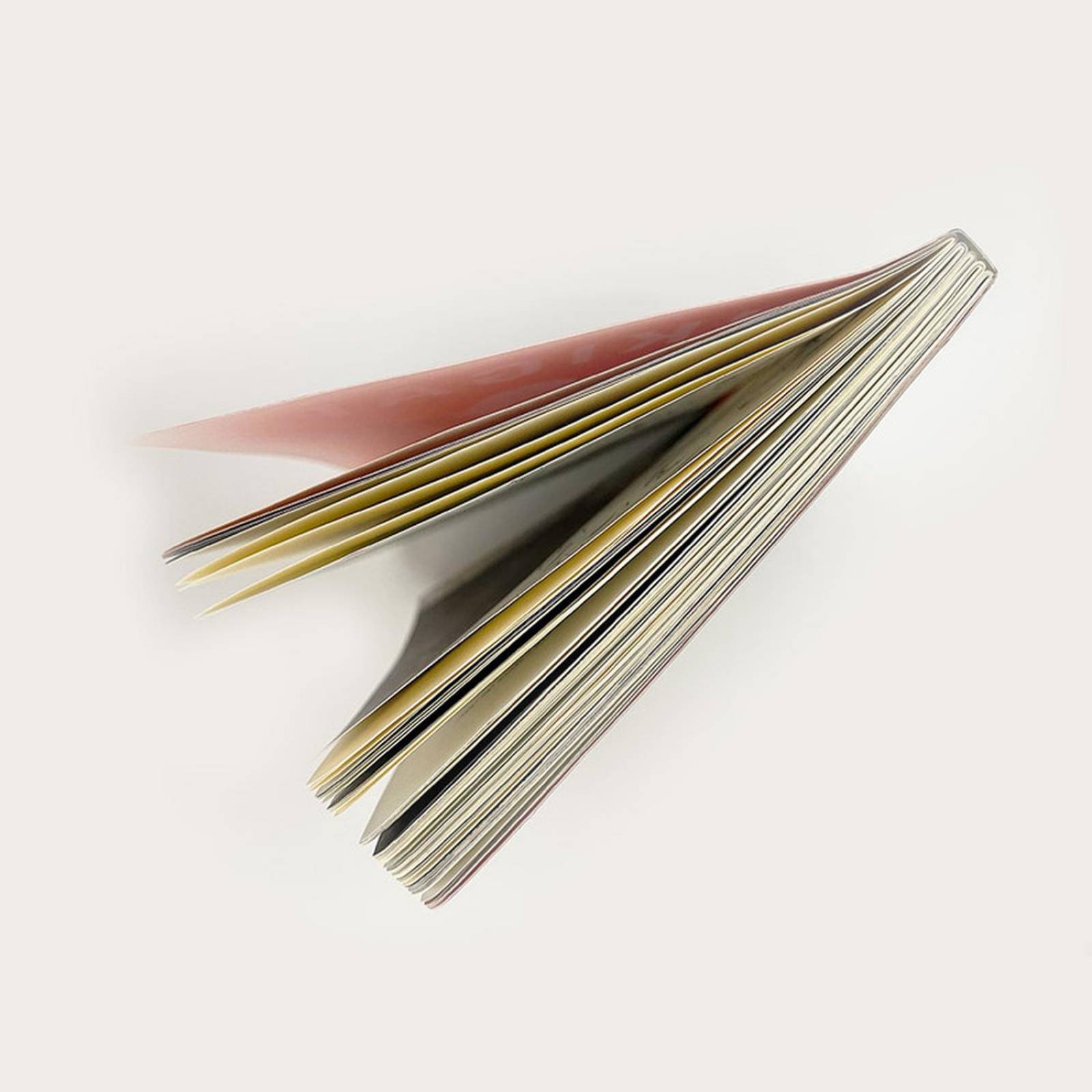 Libro Infantil Ikigai Cuentos Infantiles para Jovenes Niños 