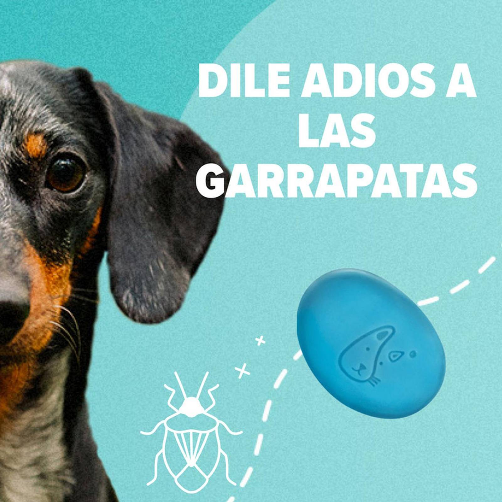 JABON ANTIPULGAS CLEAN GUARD GARRAPATACIDA 80GR PARA PERROS 