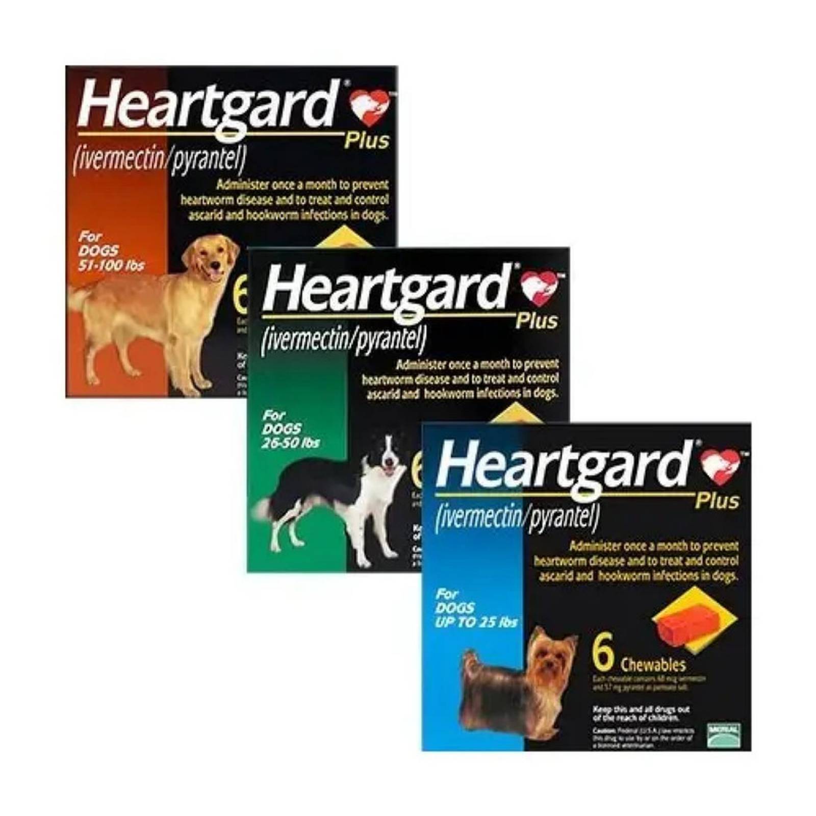 Desparasitante HEARTGARD PLUS PERRO CHICO 6 TAB HASTA 11 KG 