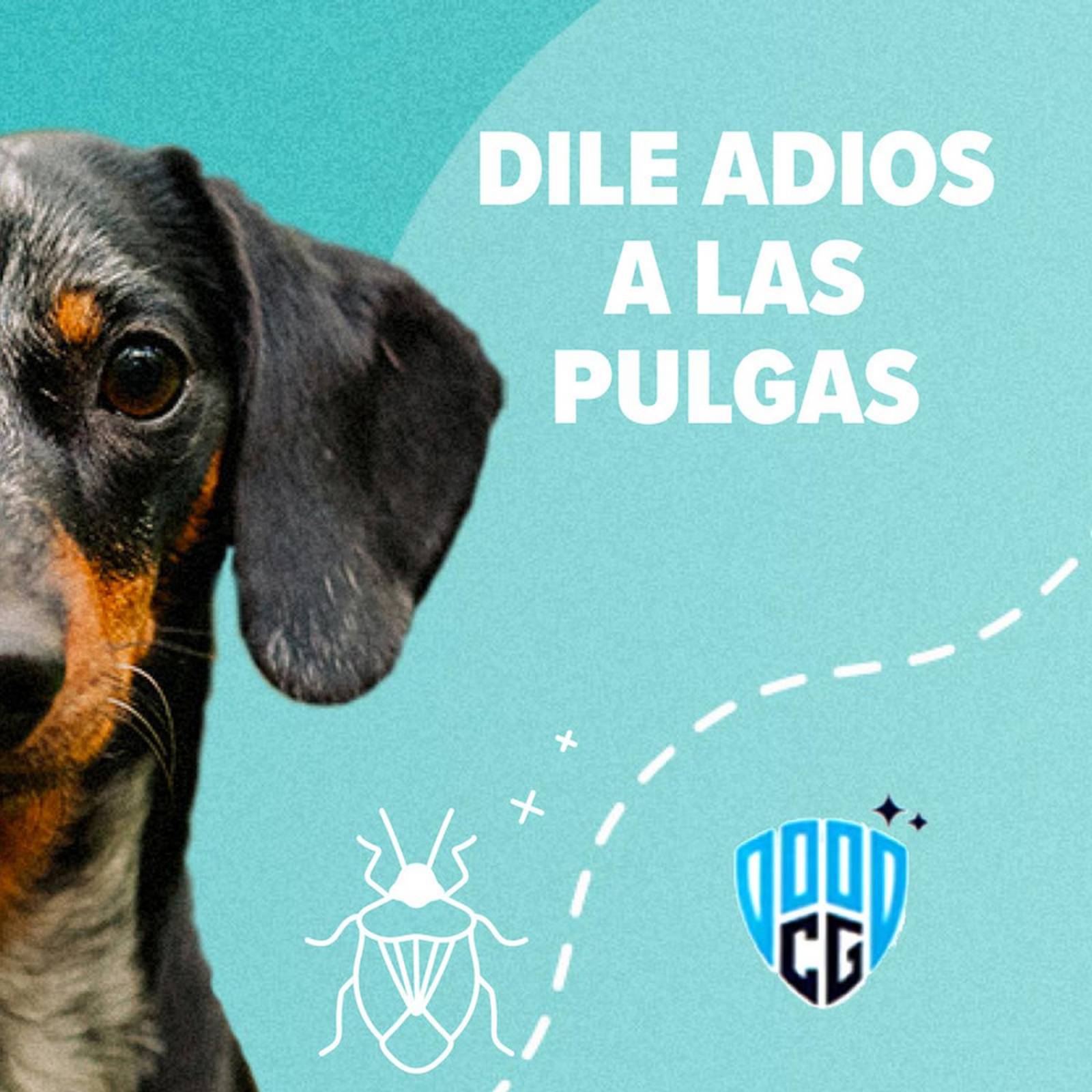 PIPETA FIPROTECT CLEAN GUARD 2.7ML PERRO GRANDE 21 A 40 KG 