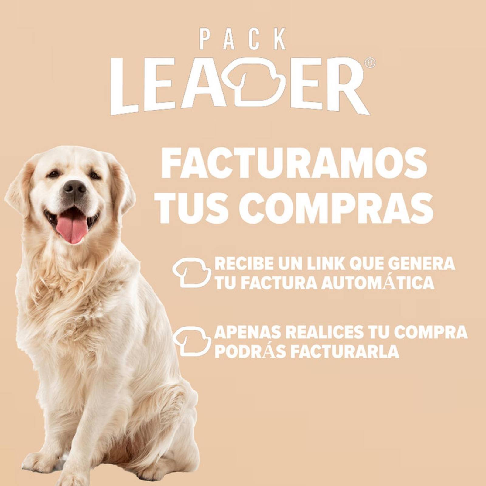 PIPETA FIPROTECT CLEAN GUARD 2.7ML PERRO GRANDE 21 A 40 KG 