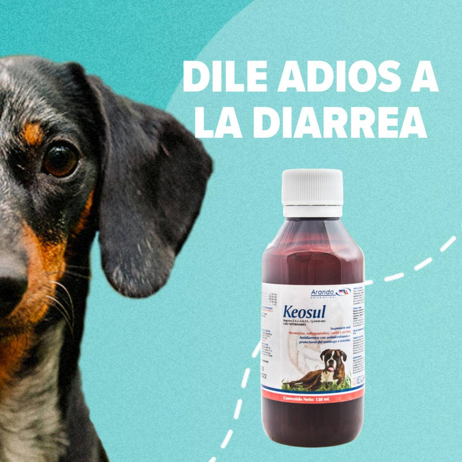 ANTIDIARREICO ANIMAL KEOSUL 120 ML PERROS GATOS Y EQUINOS 
