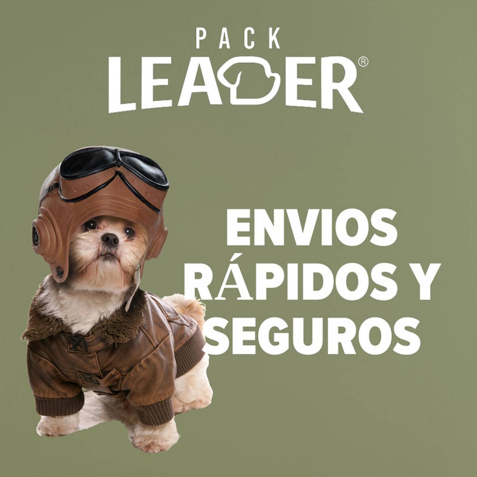 ANTIDIARREICO ANIMAL KEOSUL 120 ML PERROS GATOS Y EQUINOS 