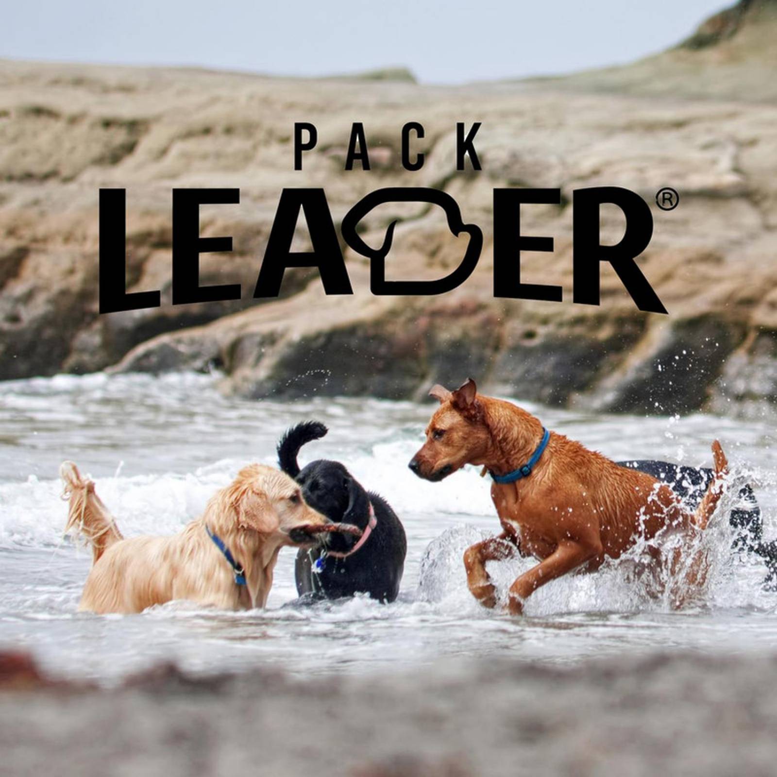 SOLUCION Antipulgas para perros DE 2 a 3.5 KG en tabletas 