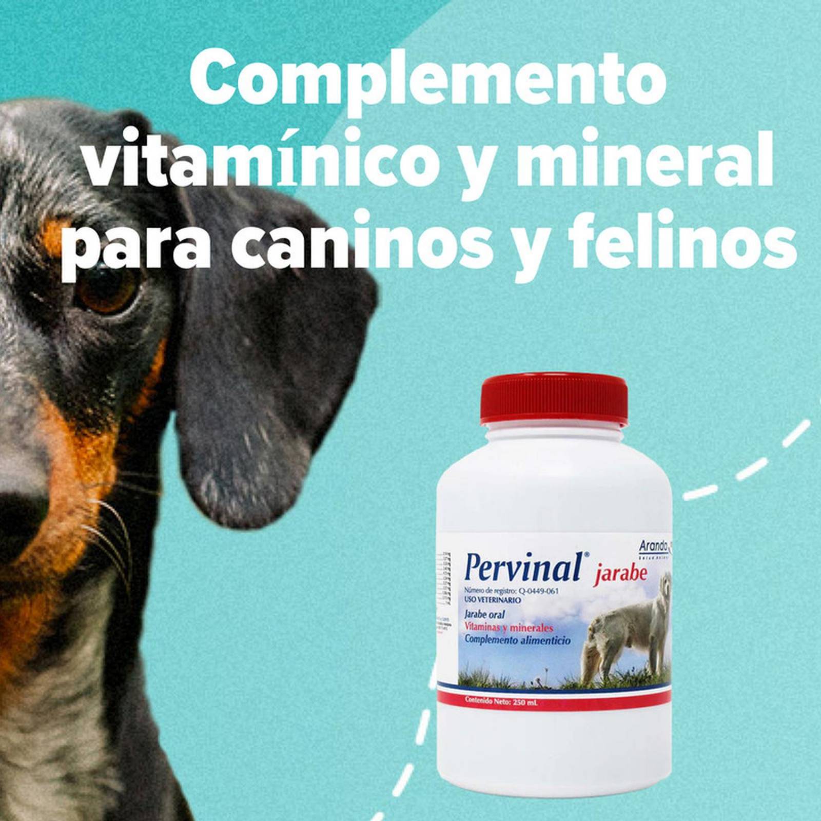 Complemento vitamínico SOLUCION JARABE 100 ML perros y gatos
