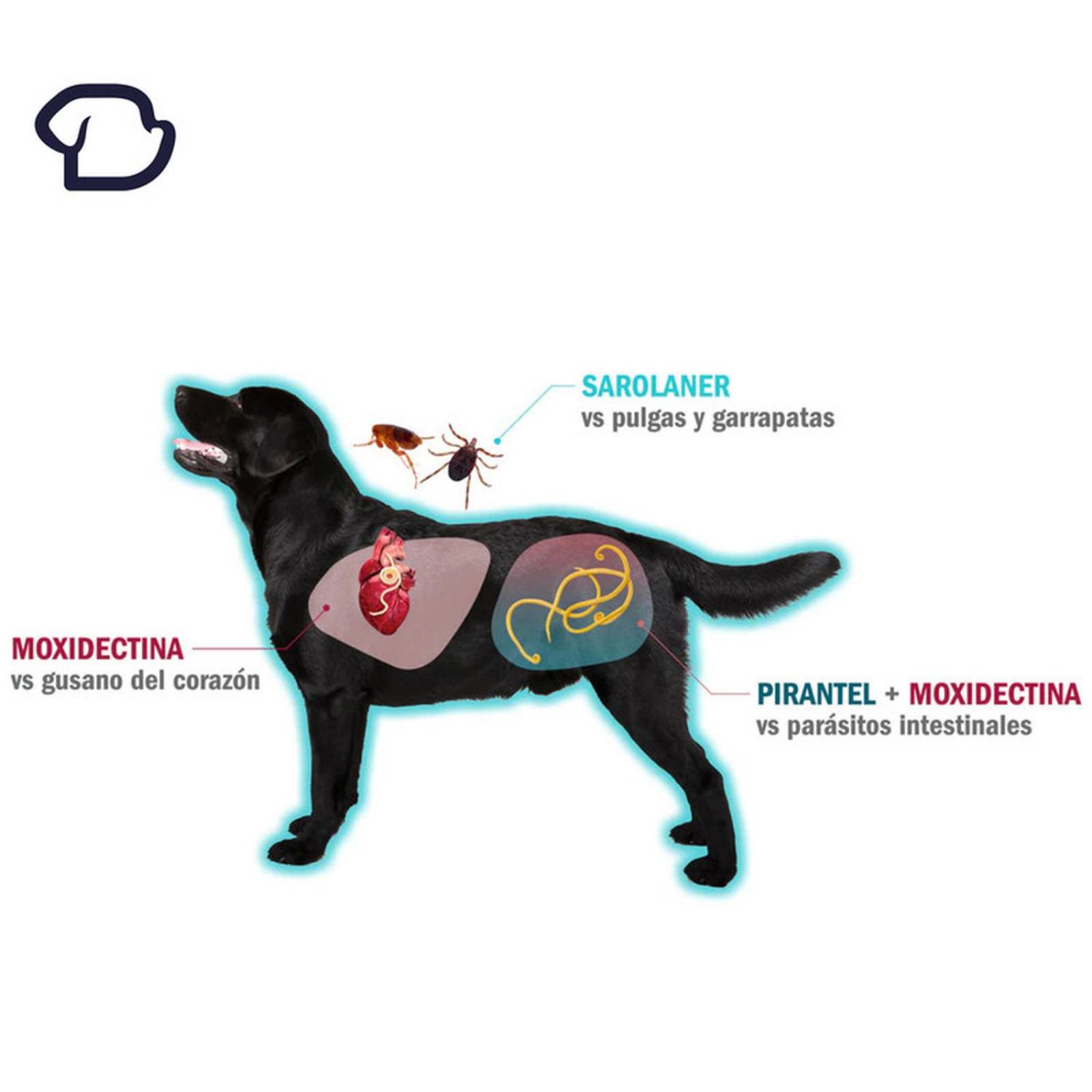 SIMPARICA TRIO 10 a 20KG Desparasitante para perros tabletas 