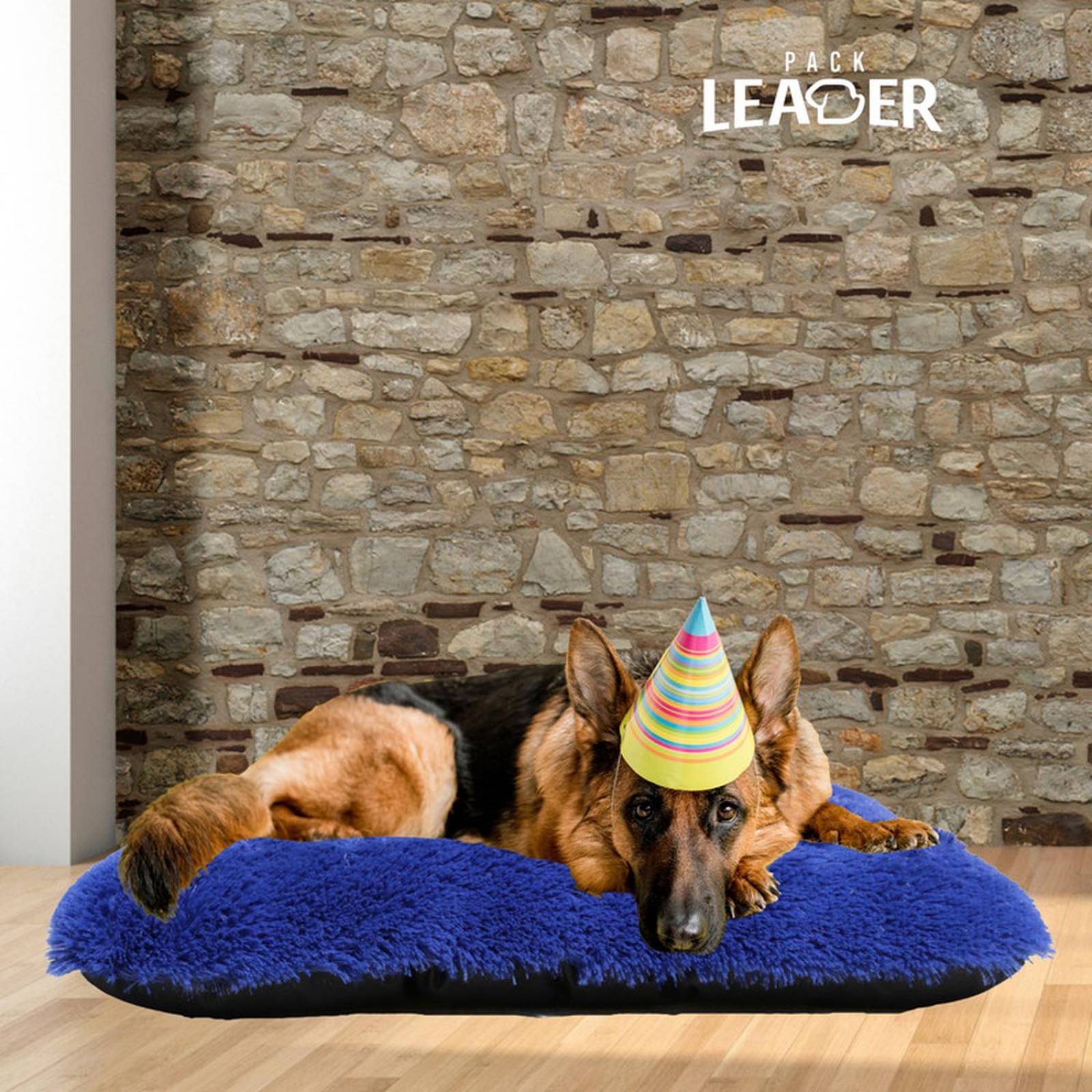 Cama para Perros grandes Impermeable Lavable Relleno Suave Azul