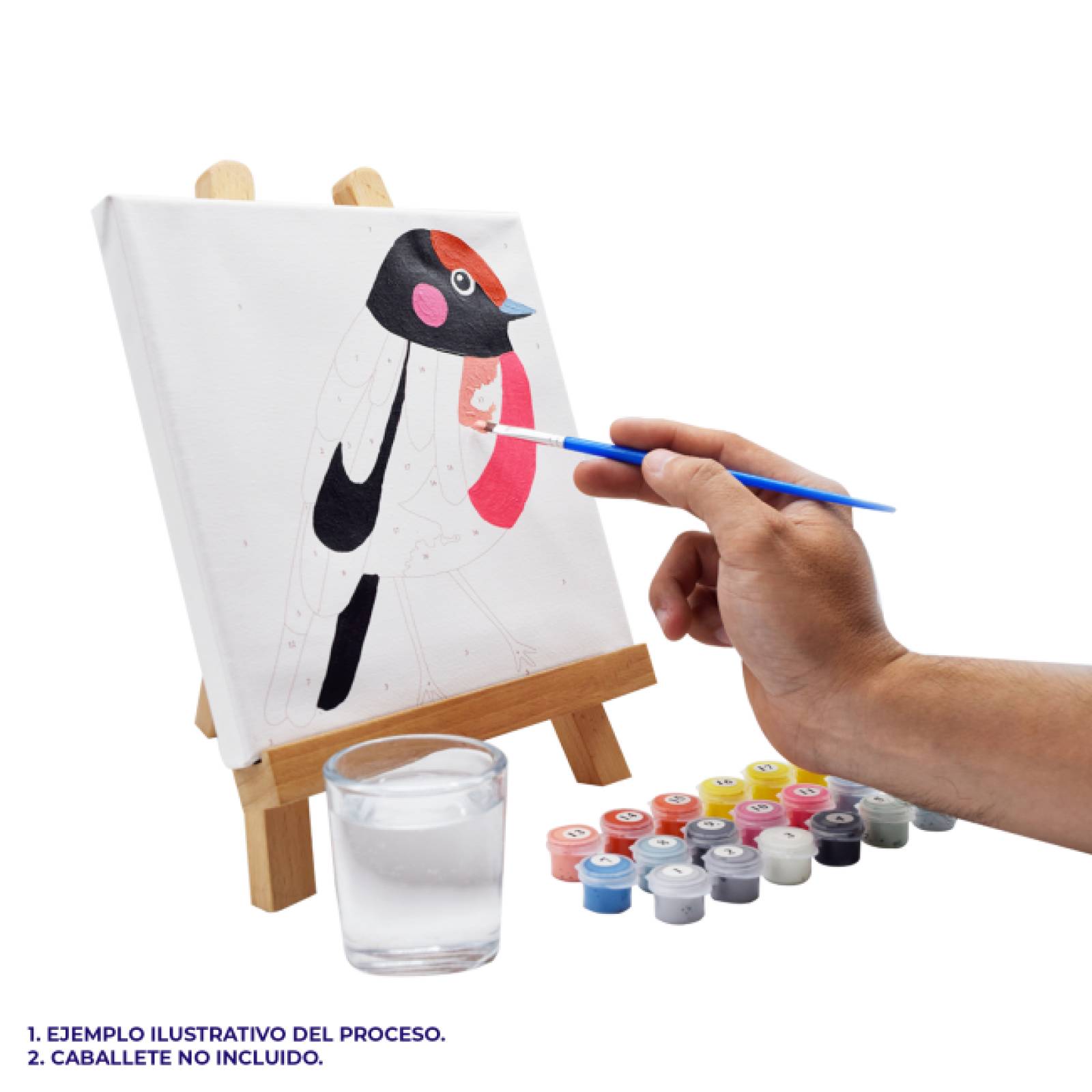 Callejon Colores Pinta por numero con bastidor incluido