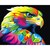 Aguila Colores Pinta por numero con bastidor incluido