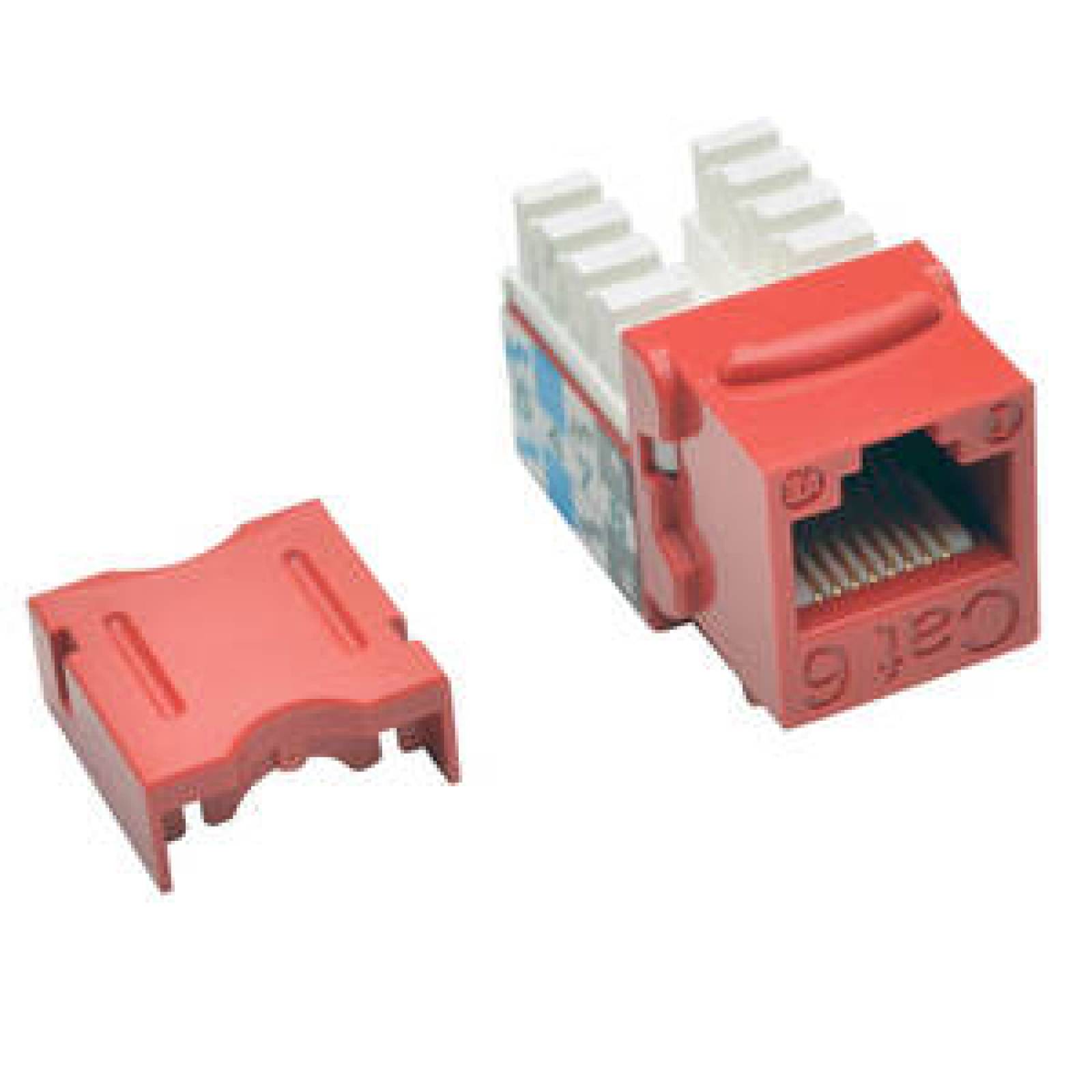 Tripplite Conector Módulo Keystone Jack RJ45 Estilo Punch Down 110 Cat6/Cat5e Rojo - 1 x RJ-45 Hembra Network - Rojo

  