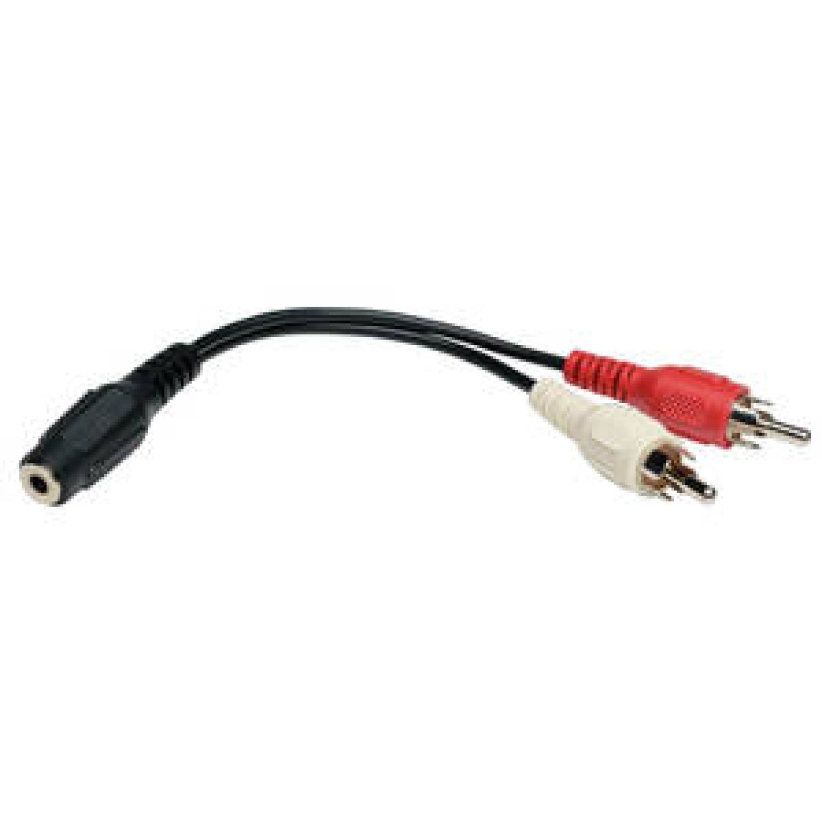 Tripplite Adaptador Divisor de Cable 3.5 mm Mini Estéreo a Dos RCA de Audio (3.5 mm H a 2x RCA M), 15 cm - 1 x 3.5mm Hem