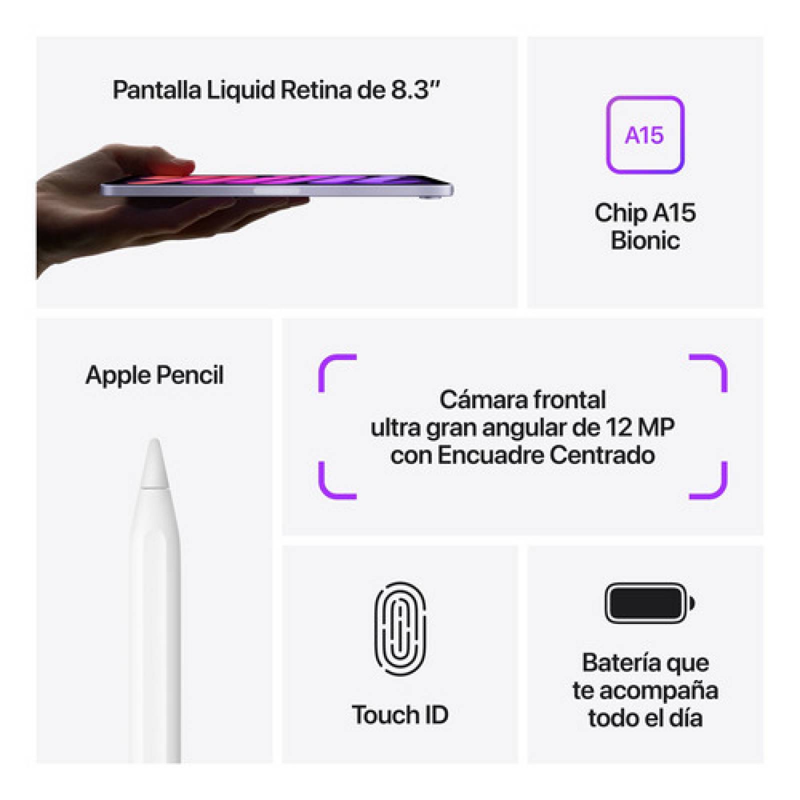 Apple iPad Mini (6  Generación) 8 3  Wi fi 64gb   Rosa