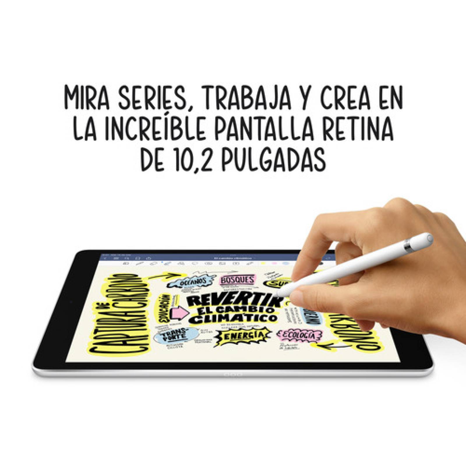 Tablet Apple iPad 9na Gen 10.2   WiFi 256Gb Gris Espacial