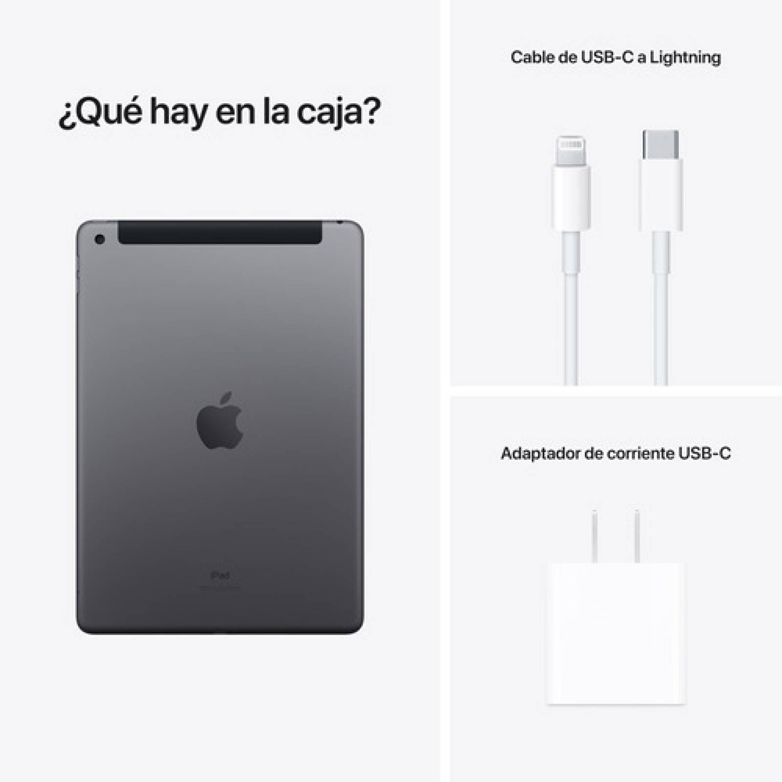 Tablet Apple iPad 9na Gen 10.2   WiFi 256Gb Gris Espacial