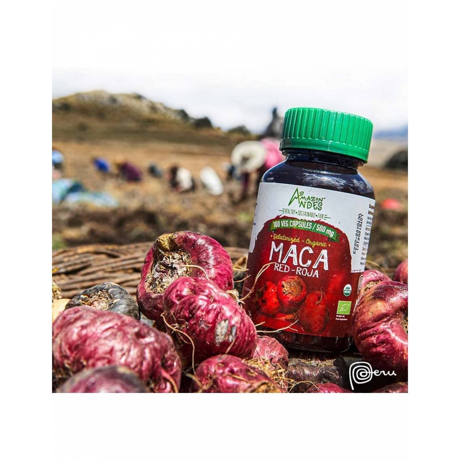 Macá Roja Orgánica en Cápsulas (original de Perú)